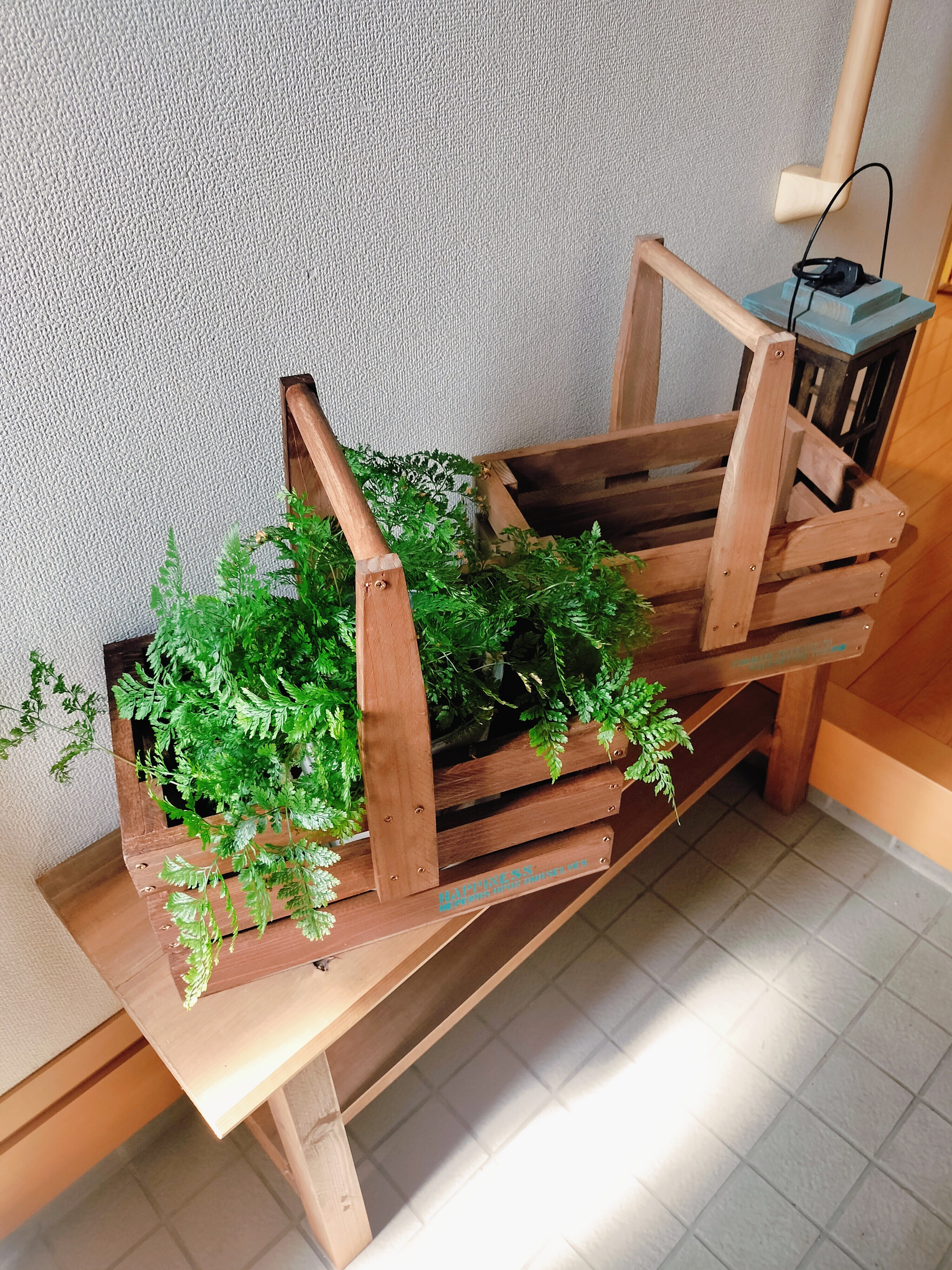 ガーデンバスケット | CAINZ DIY Square