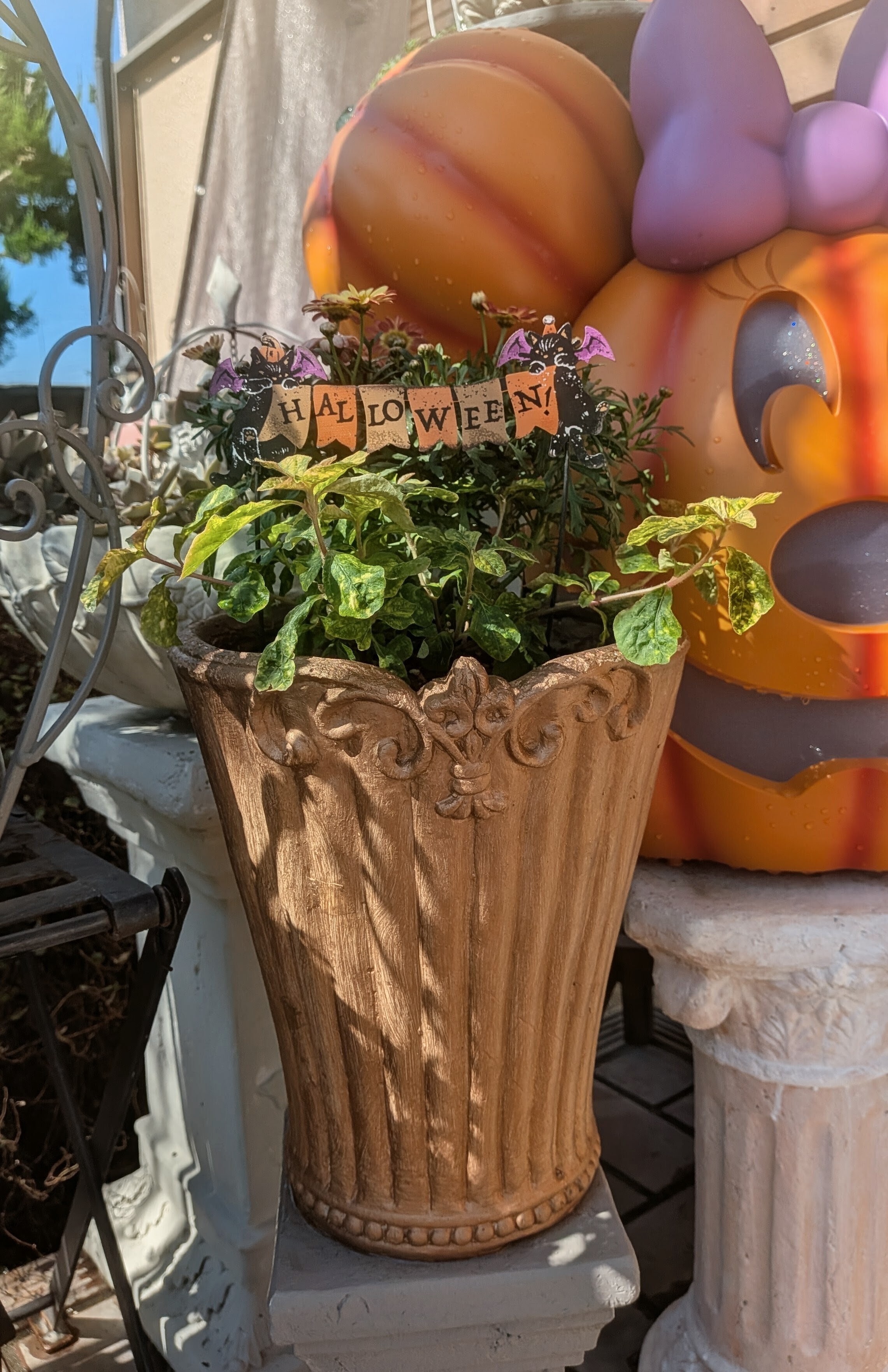 ゴールドで塗替鉢にCAINZで購入苗植え込み | CAINZ DIY Square