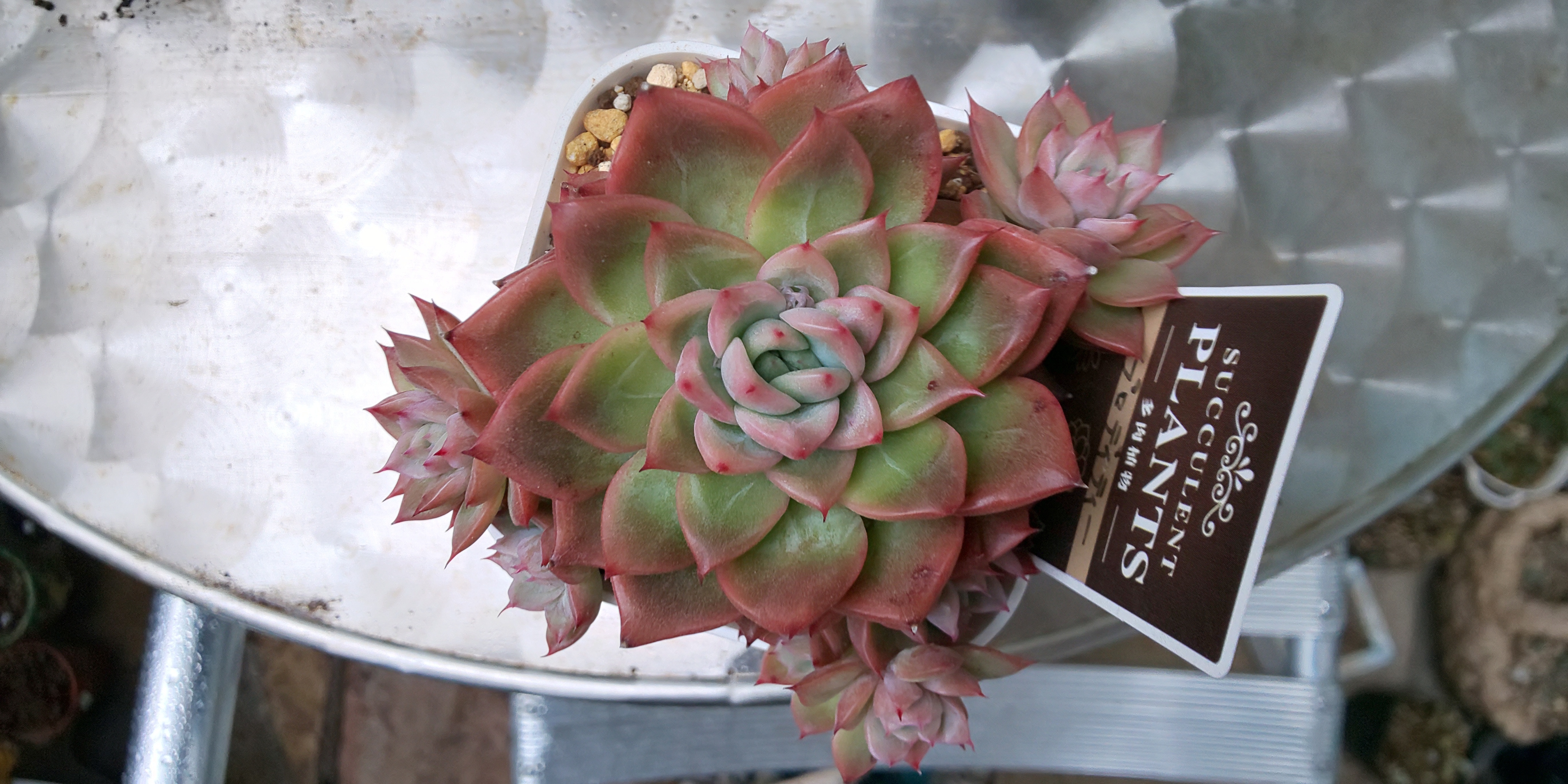 5c92b2f7-bb4c-4d72-9109-