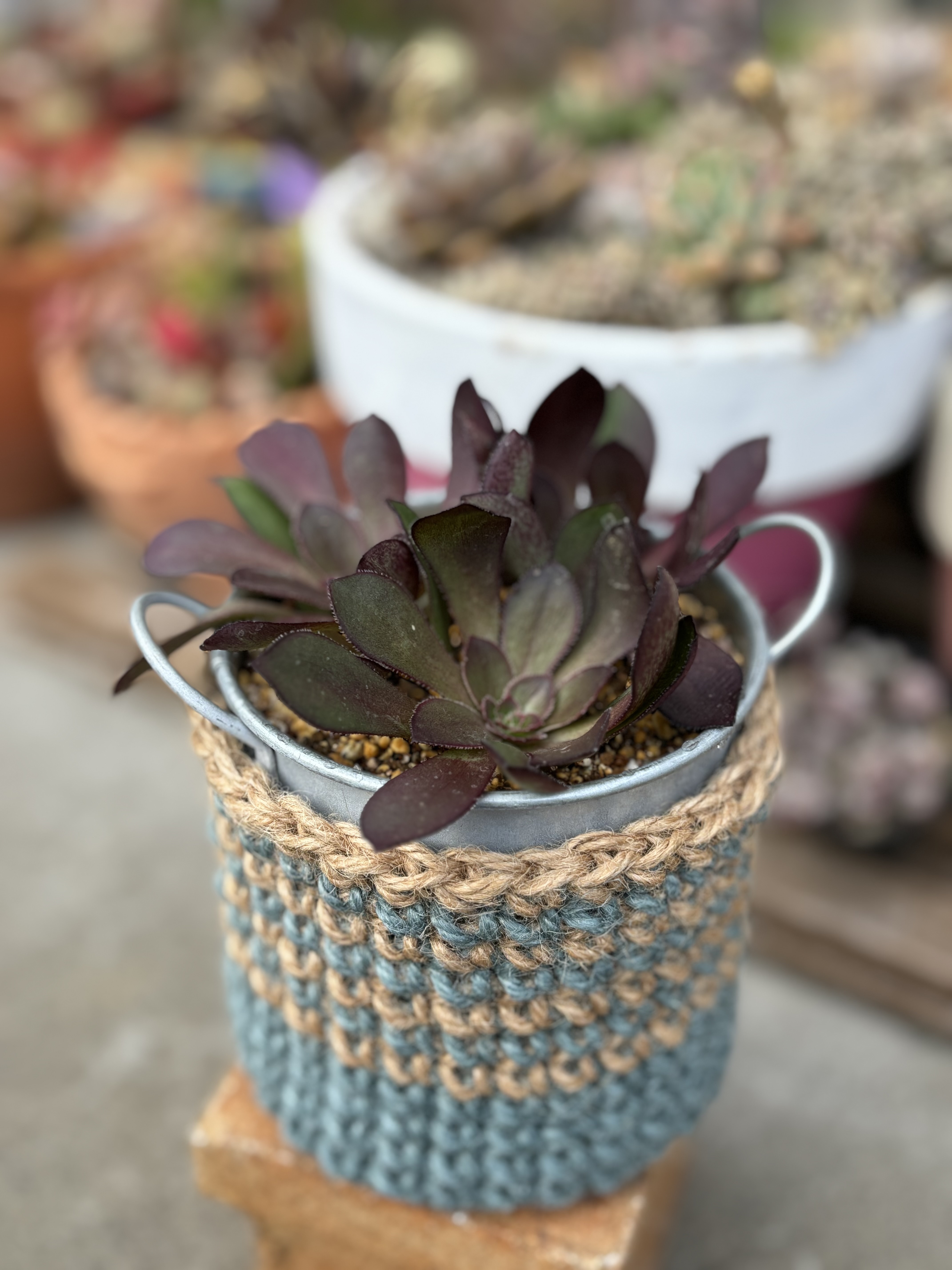 a65d63e2-d22a-4b49-b68f-