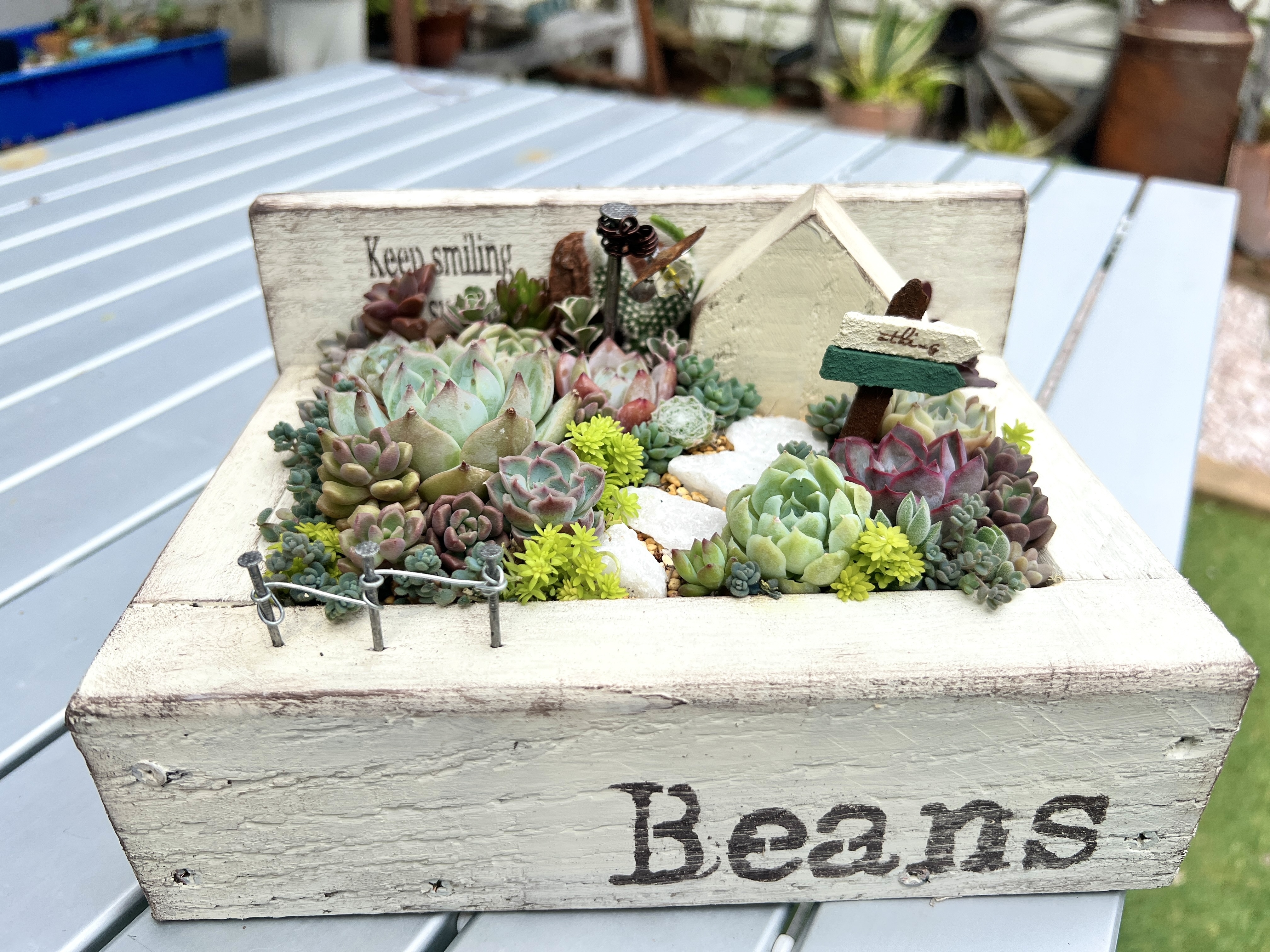 ◇✧箱庭✧◇ページ 箱庭🏠の寄せ植え♡ | CAINZ DIY Square