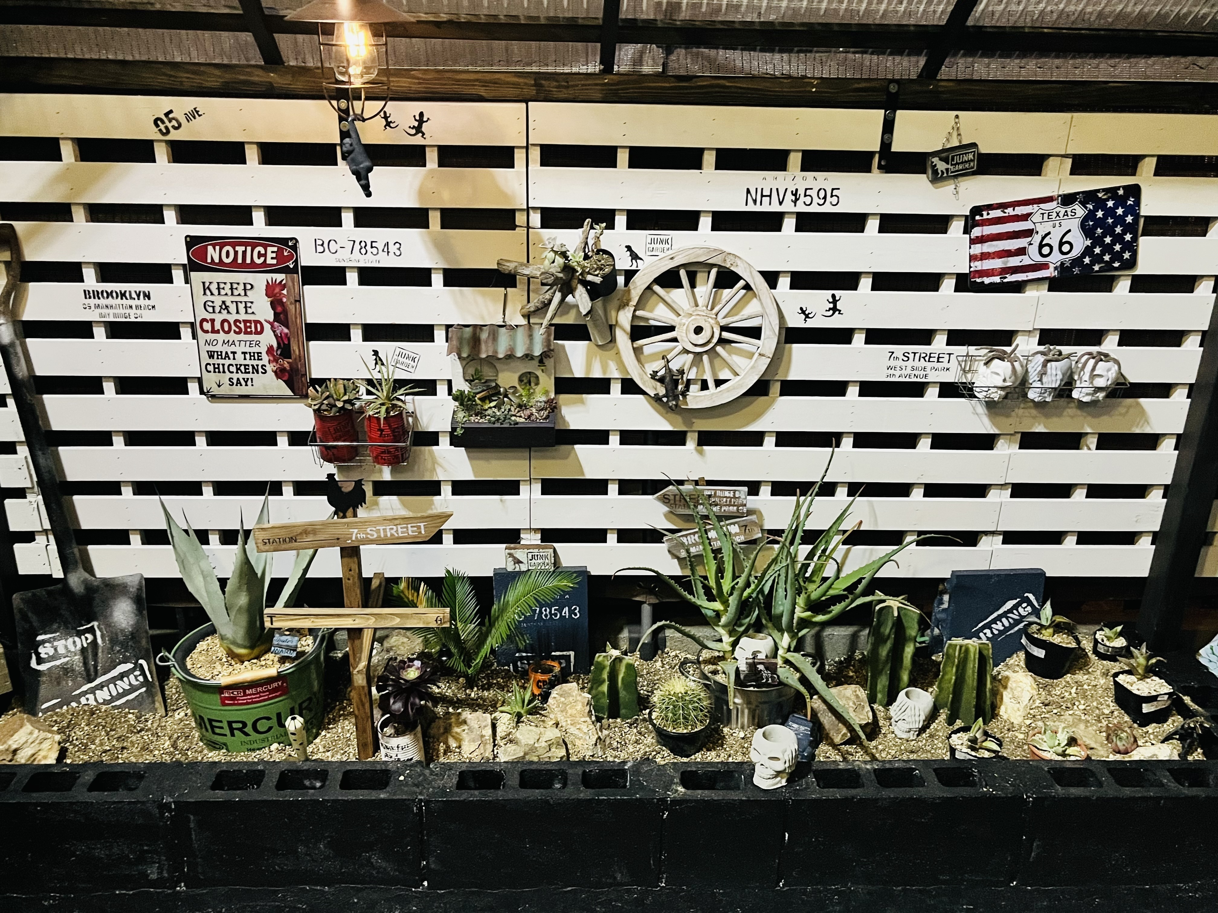 ドライガーデンに植物を配置してみた | CAINZ DIY Square