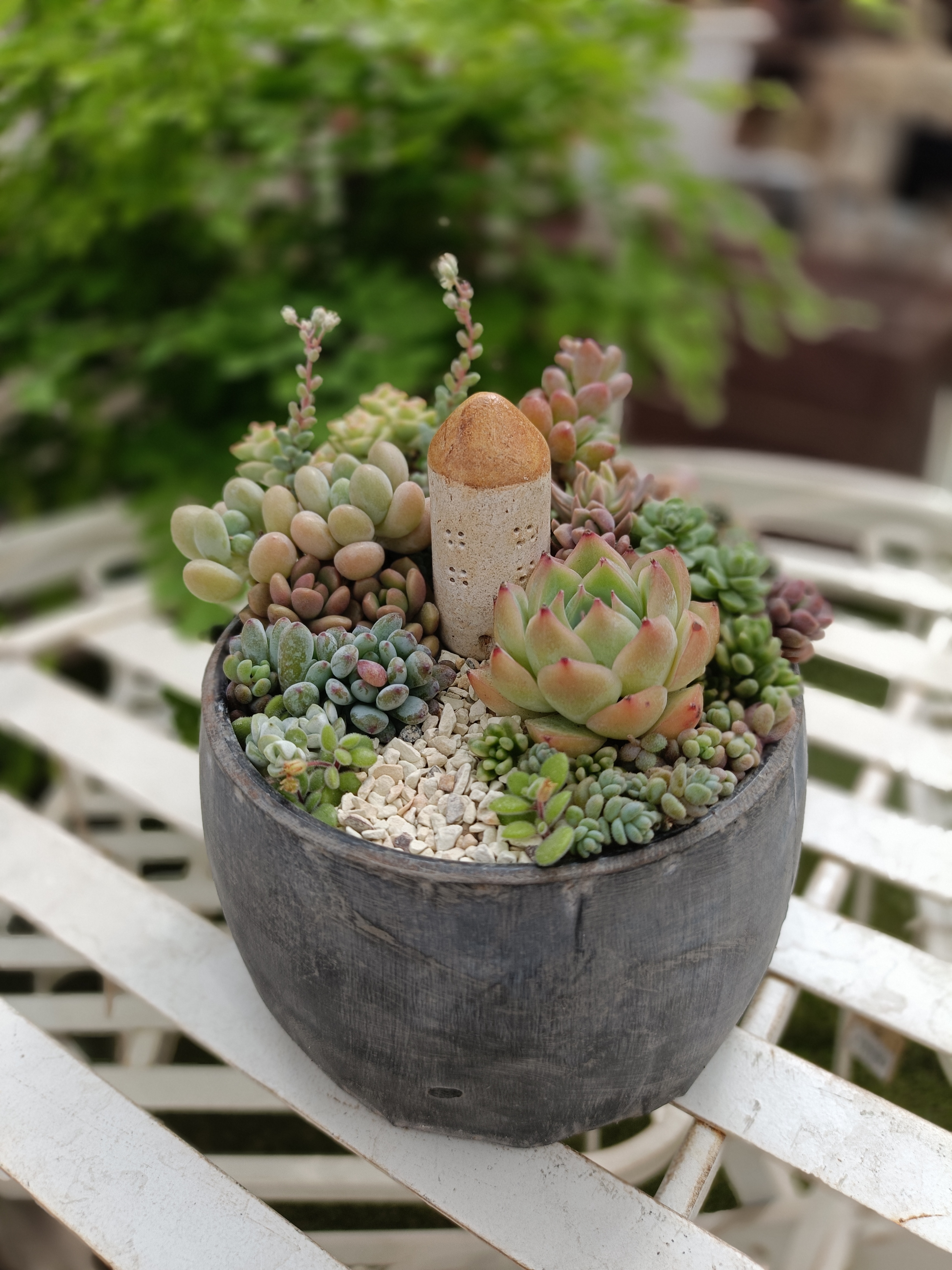 箱庭 | CAINZ DIY Square