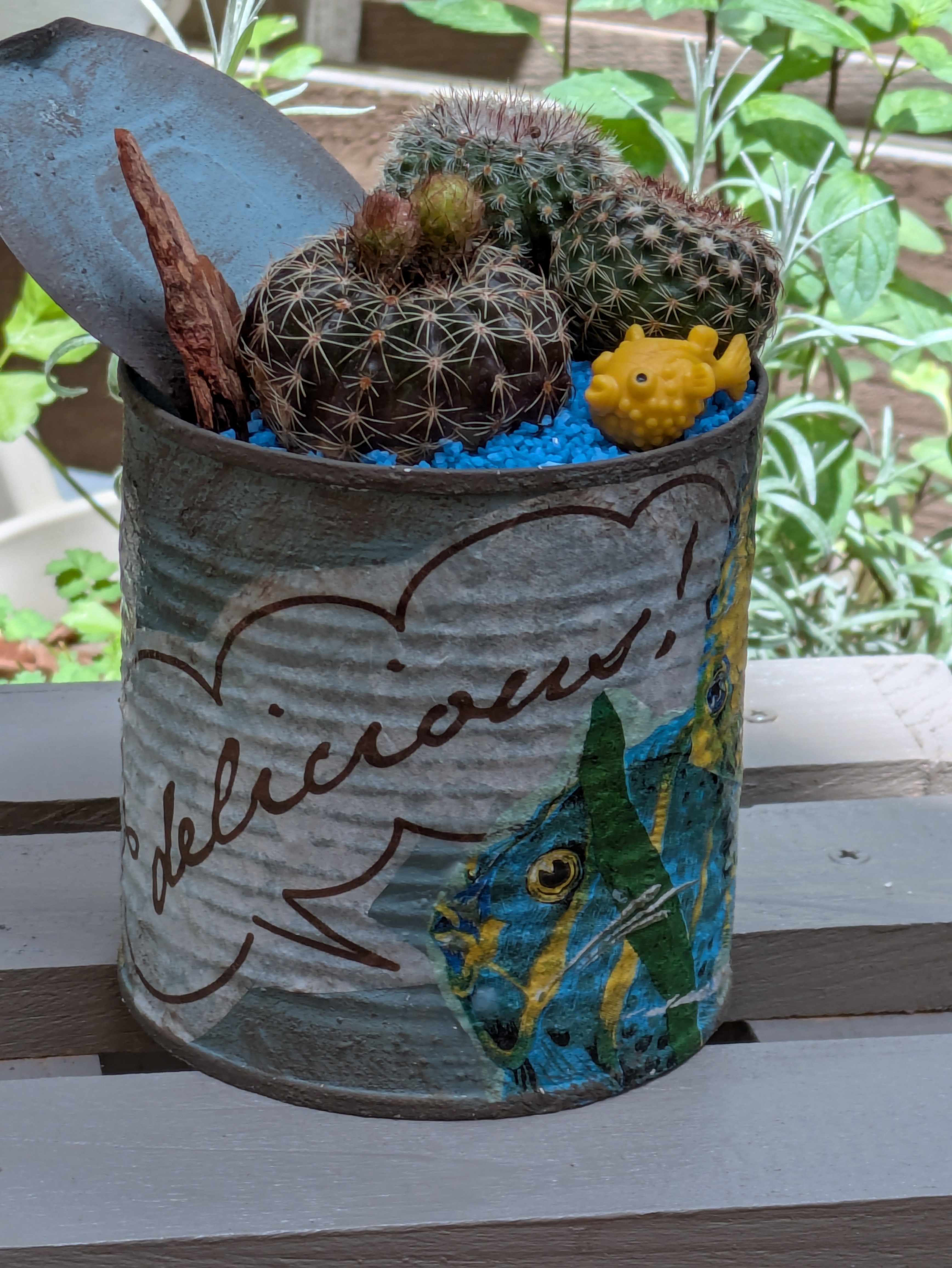 リメ缶作りとサボテンの寄せ植え💕 | CAINZ DIY Square