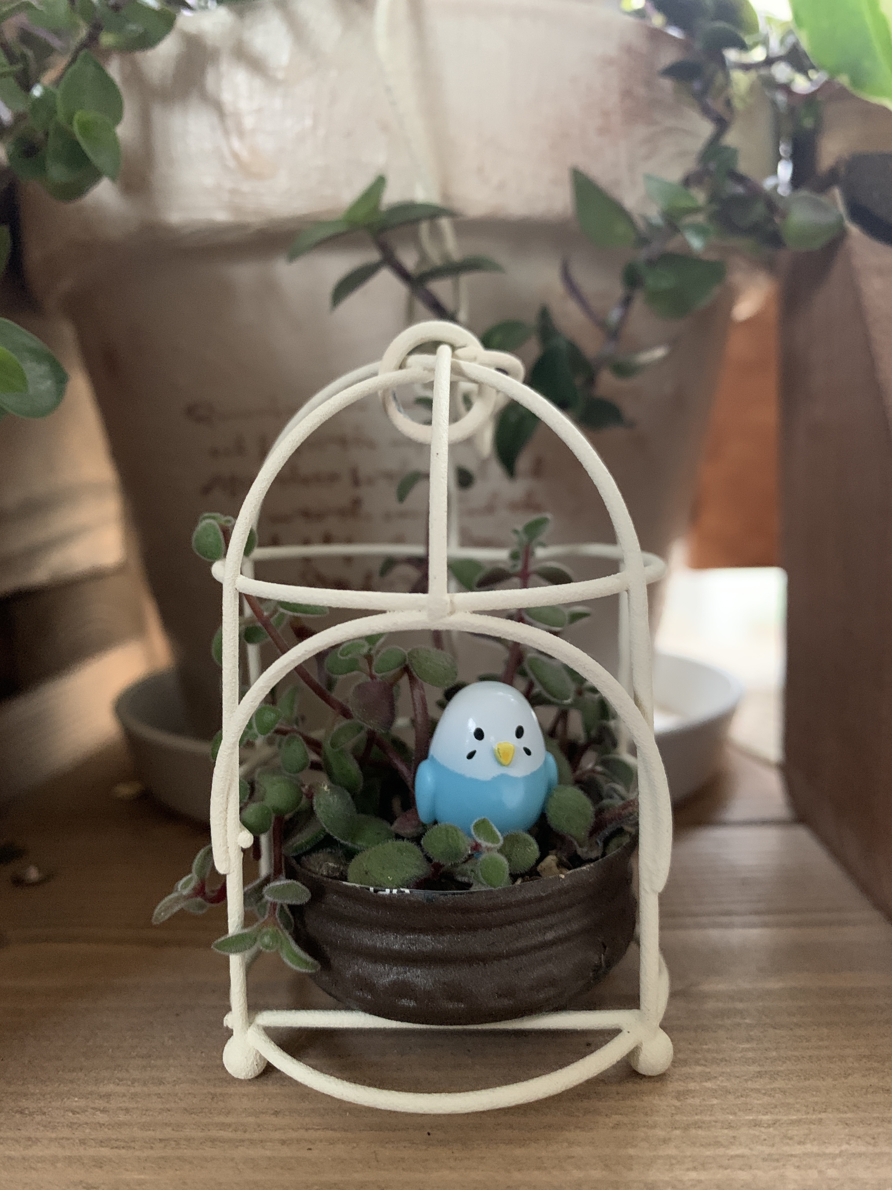 ちっちゃな鳥籠 | CAINZ DIY Square
