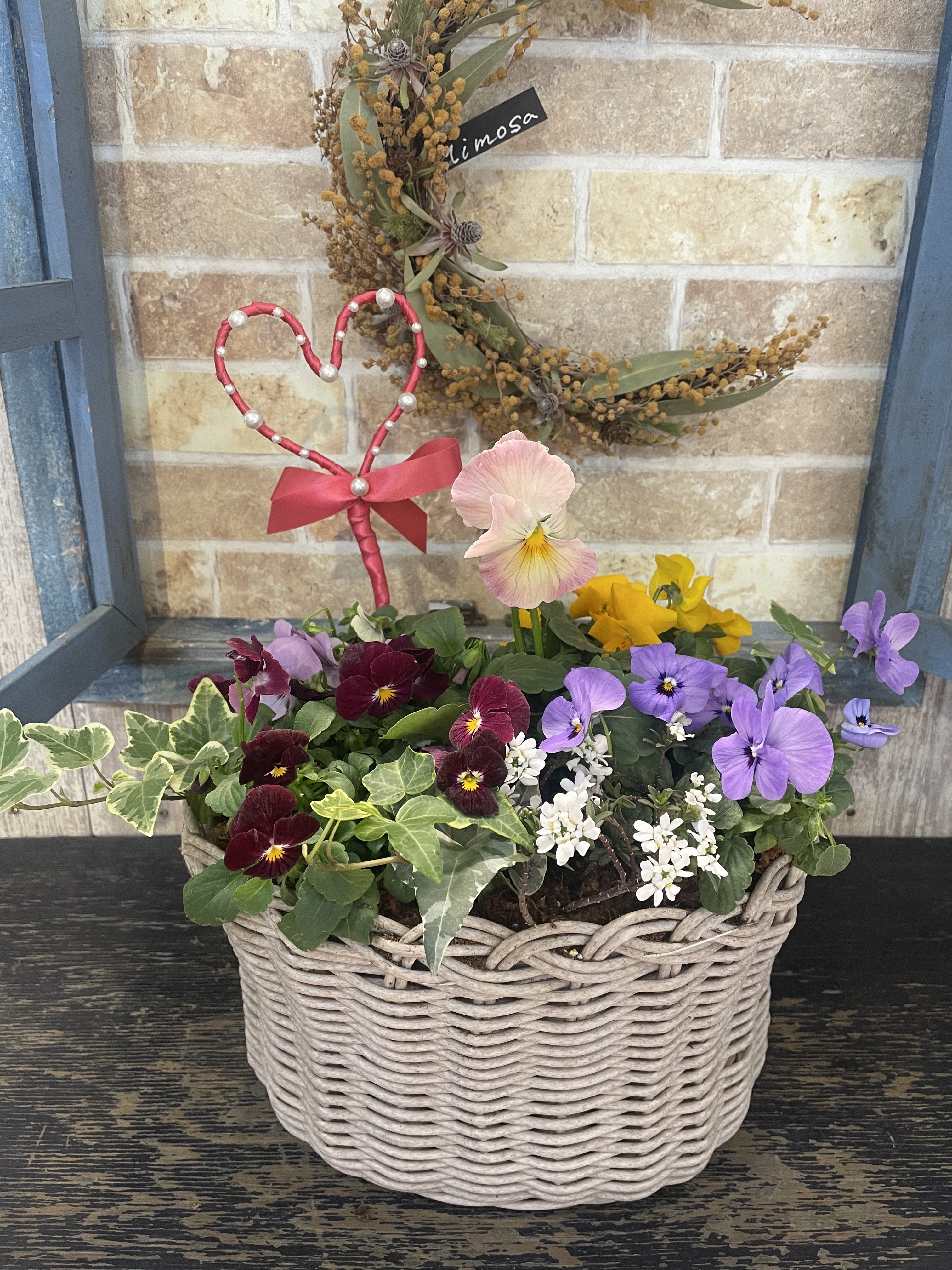 可愛いカゴの寄せ植え(ワークショップ) | CAINZ DIY Square