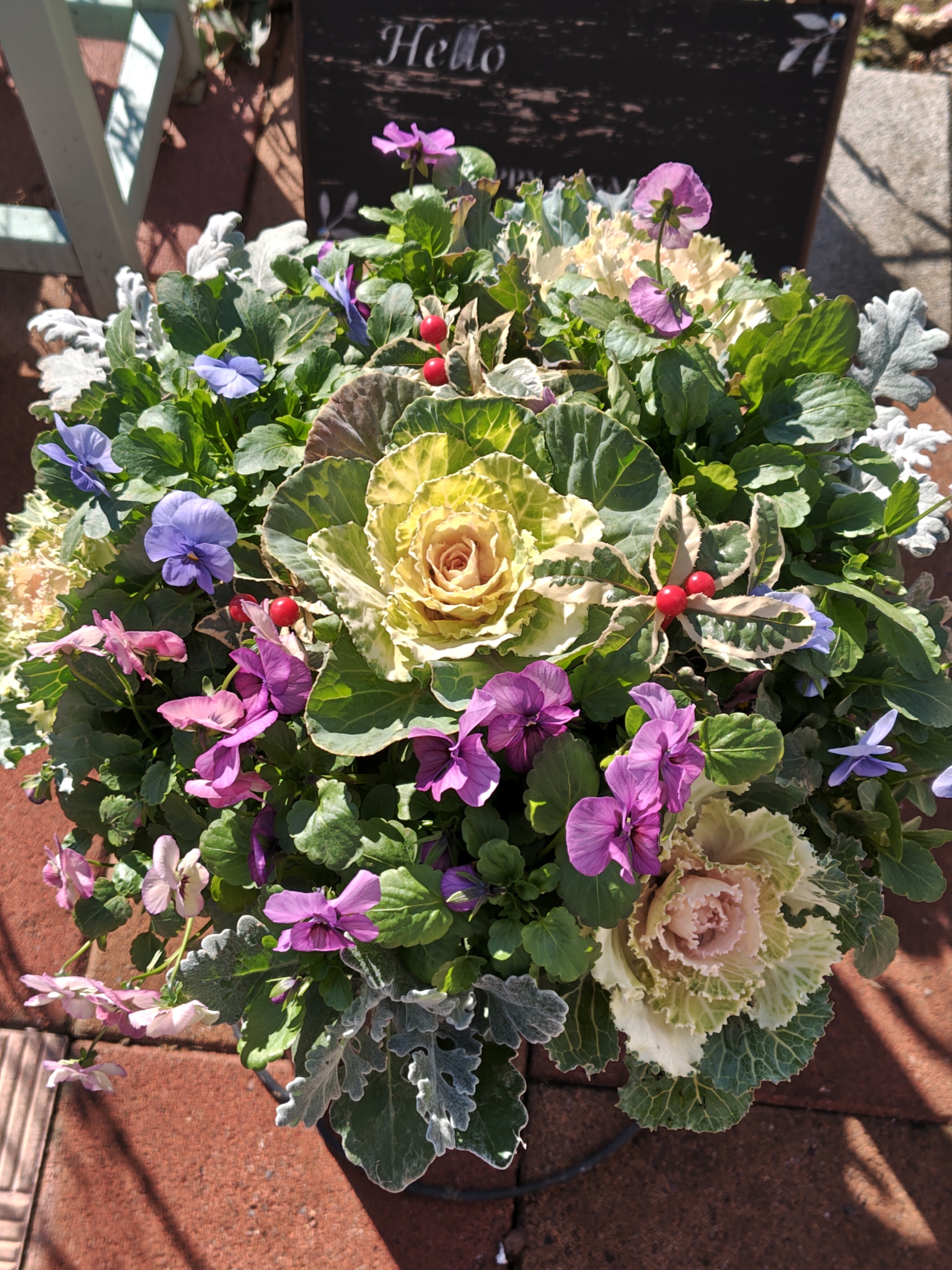 冬を彩る寄せ植え | CAINZ DIY Square