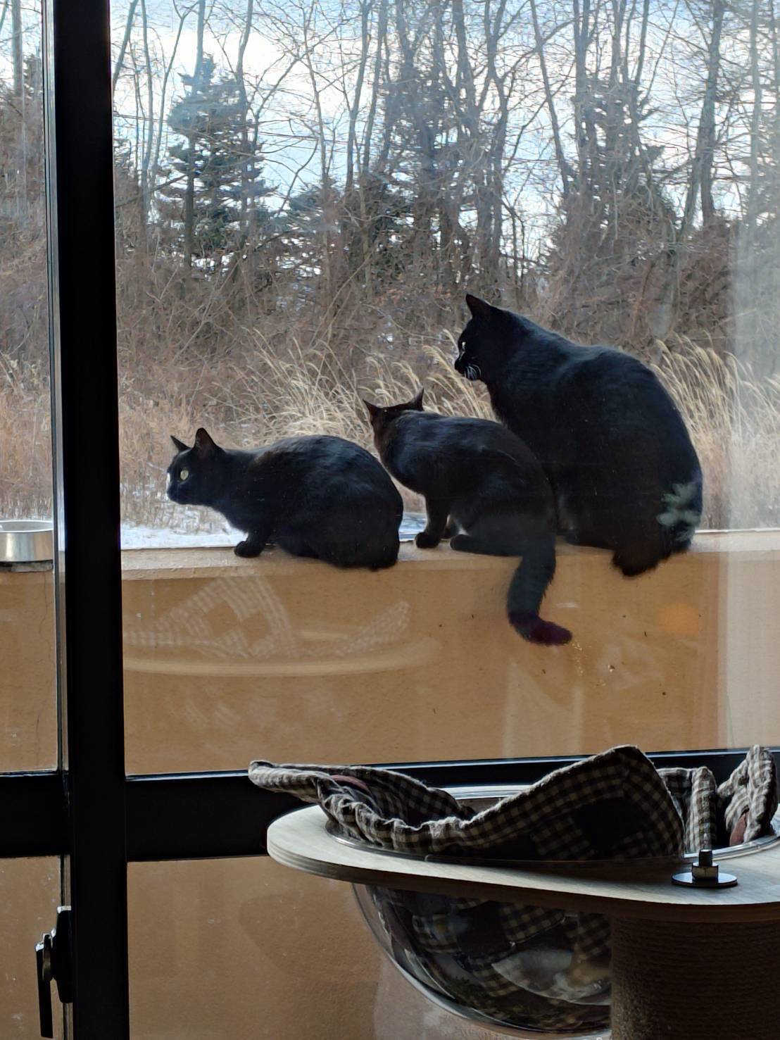 朝のルーティン