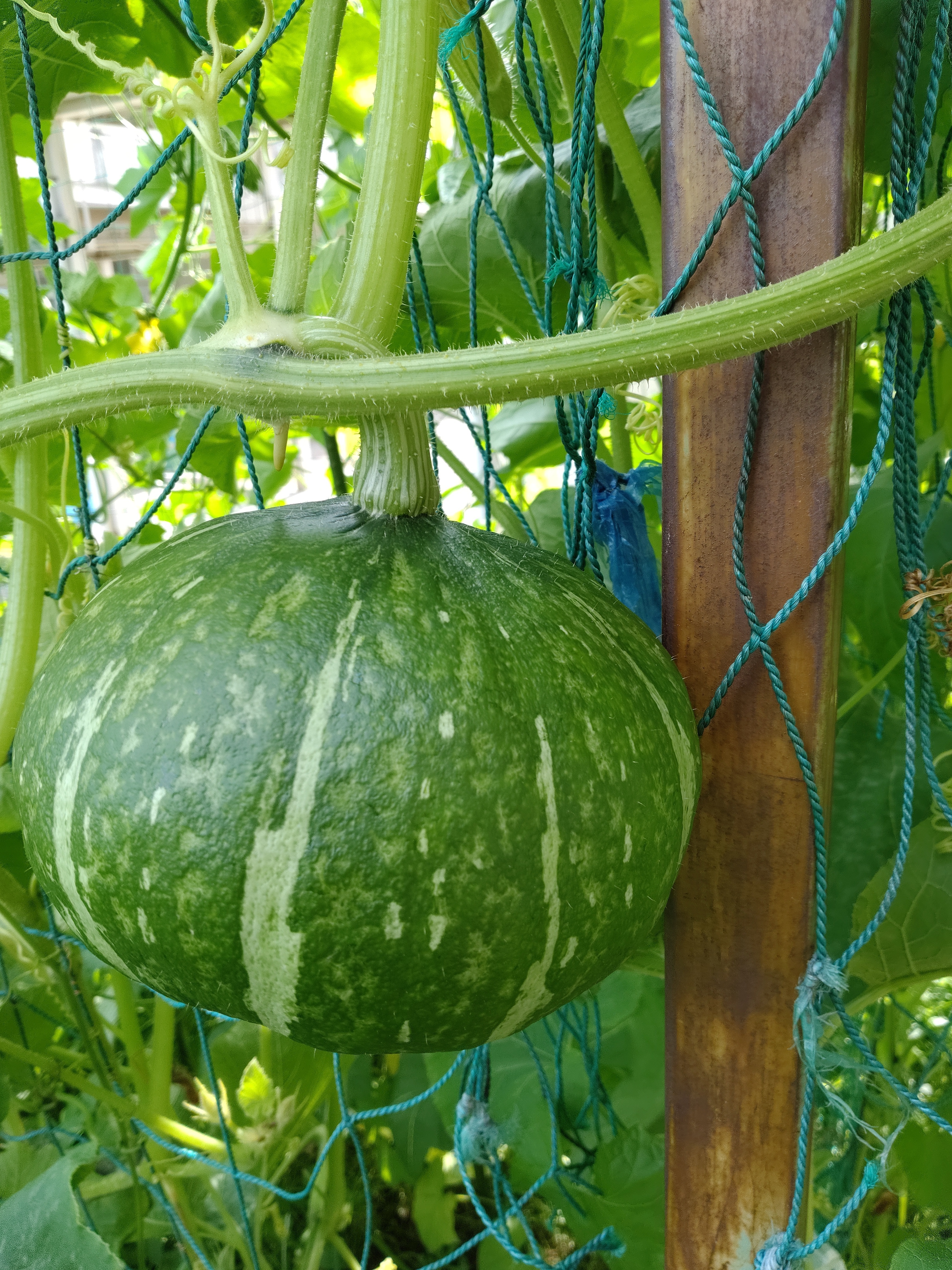 826d8872-94e5-4a7a-9aba-