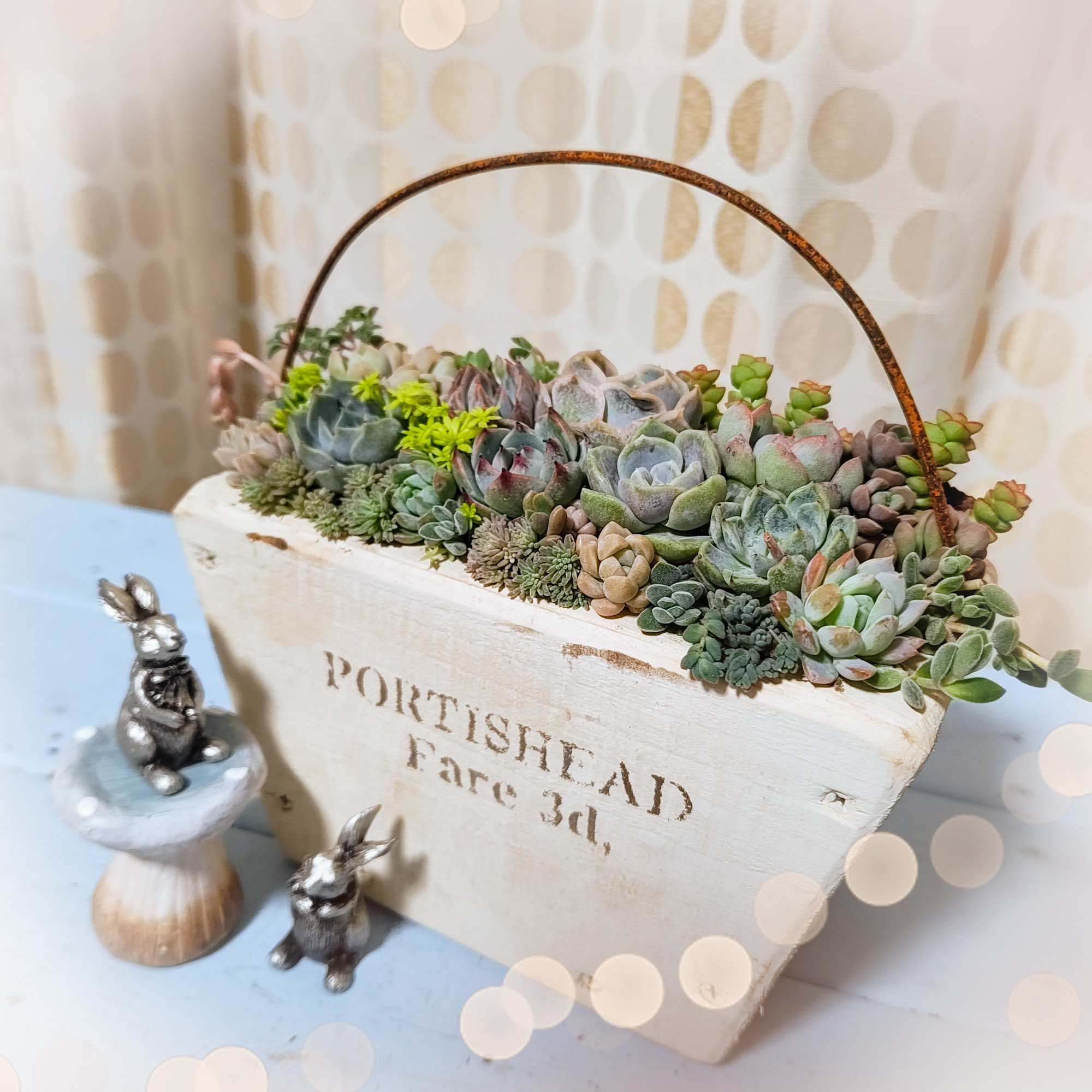 多肉の寄せ植え🌵 | CAINZ DIY Square