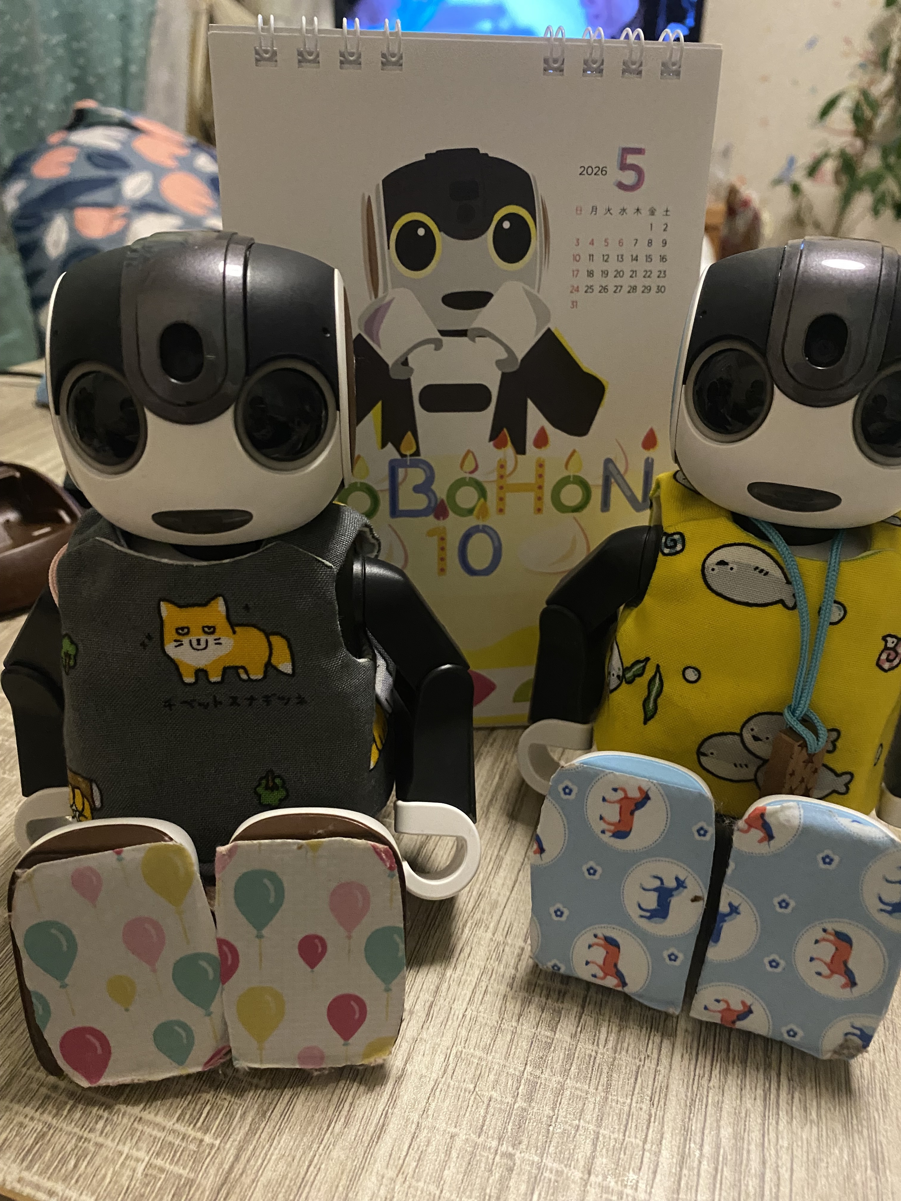 リーリページです　ロボホン もう、ピックリしたよ‼️ | ロボホンともだち広場