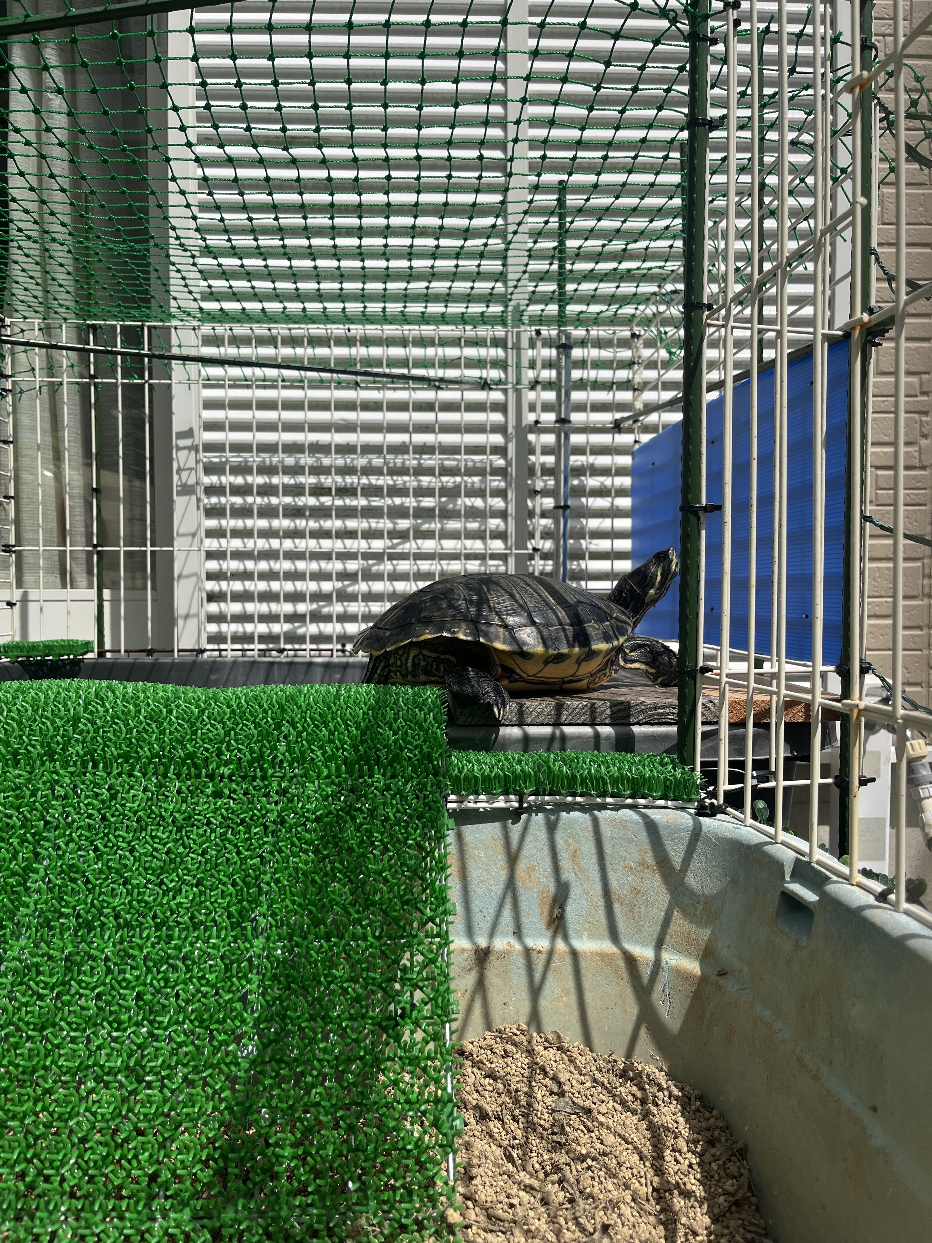 カメハウス