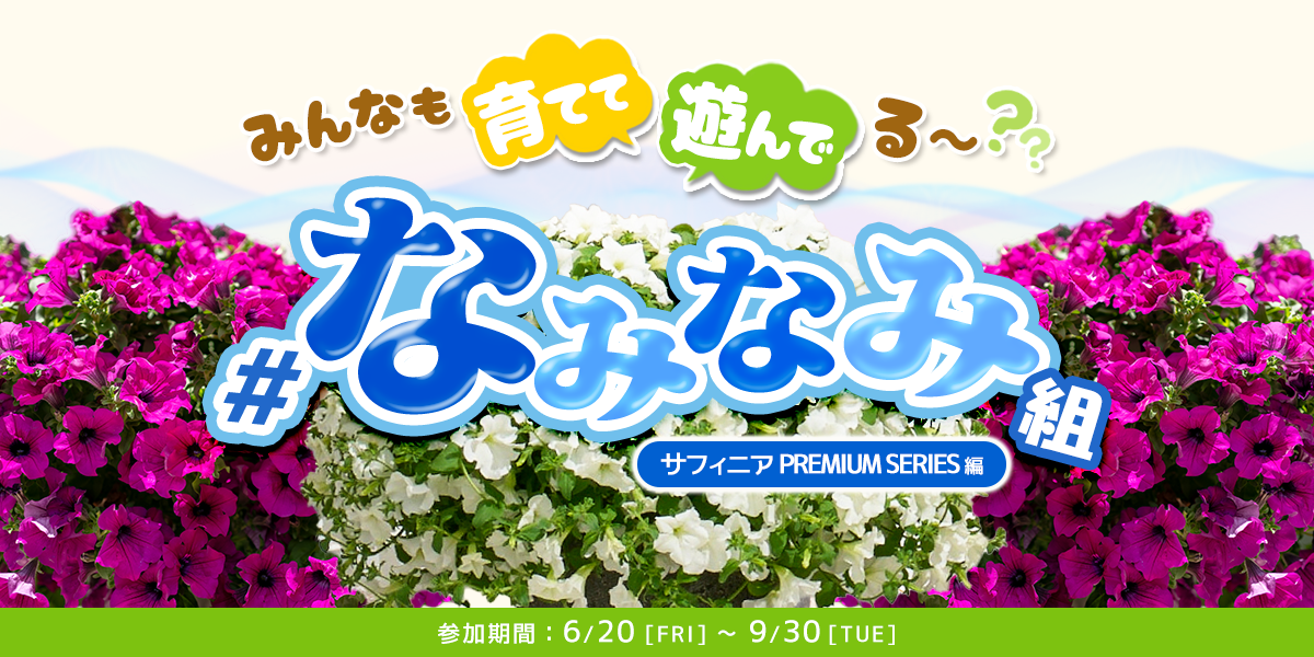 あなたも #なみなみ組 になって投稿しよう🌱 | SUNSUNガーデン