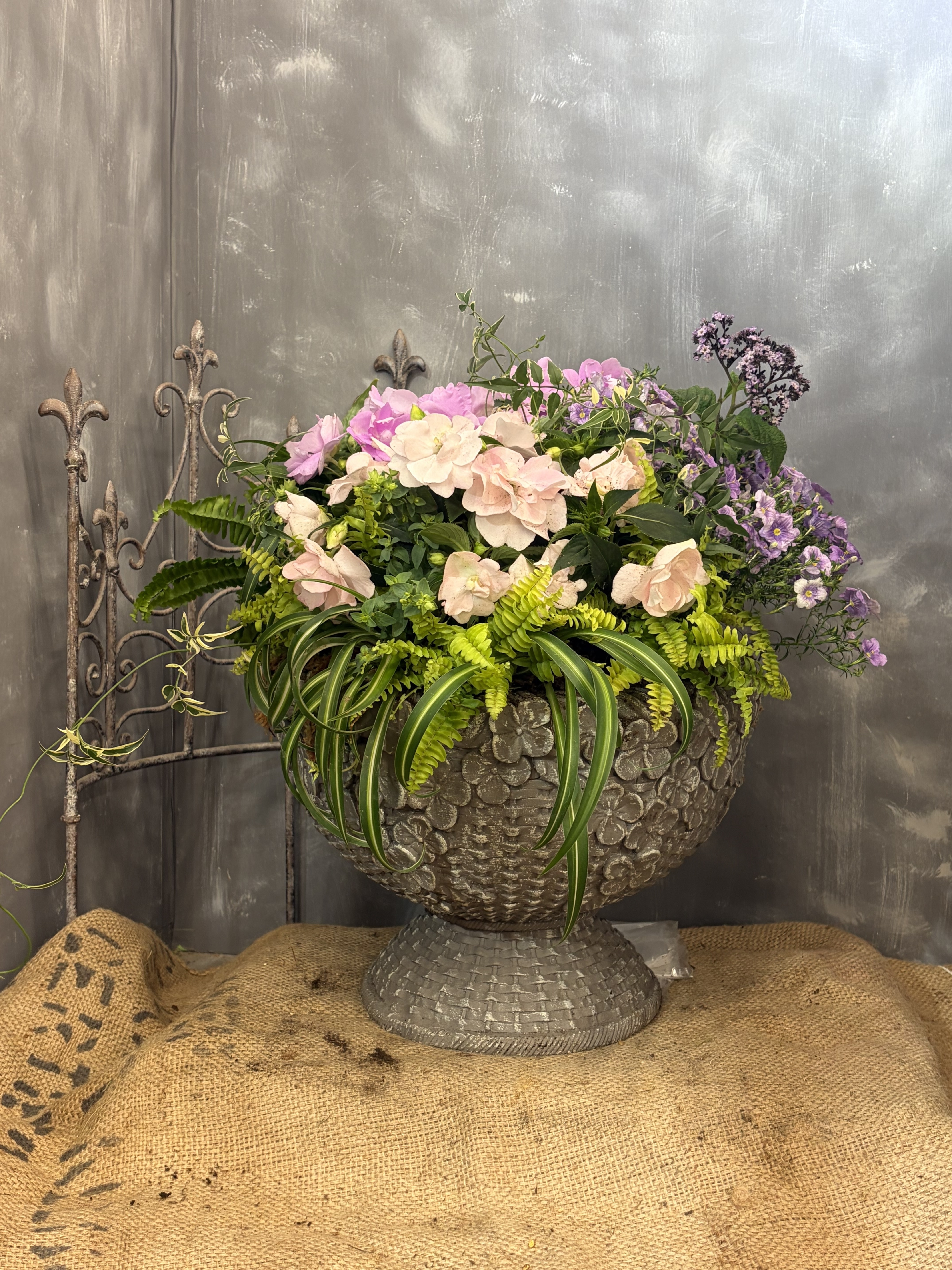 夏の寄せ植え | CAINZ DIY Square