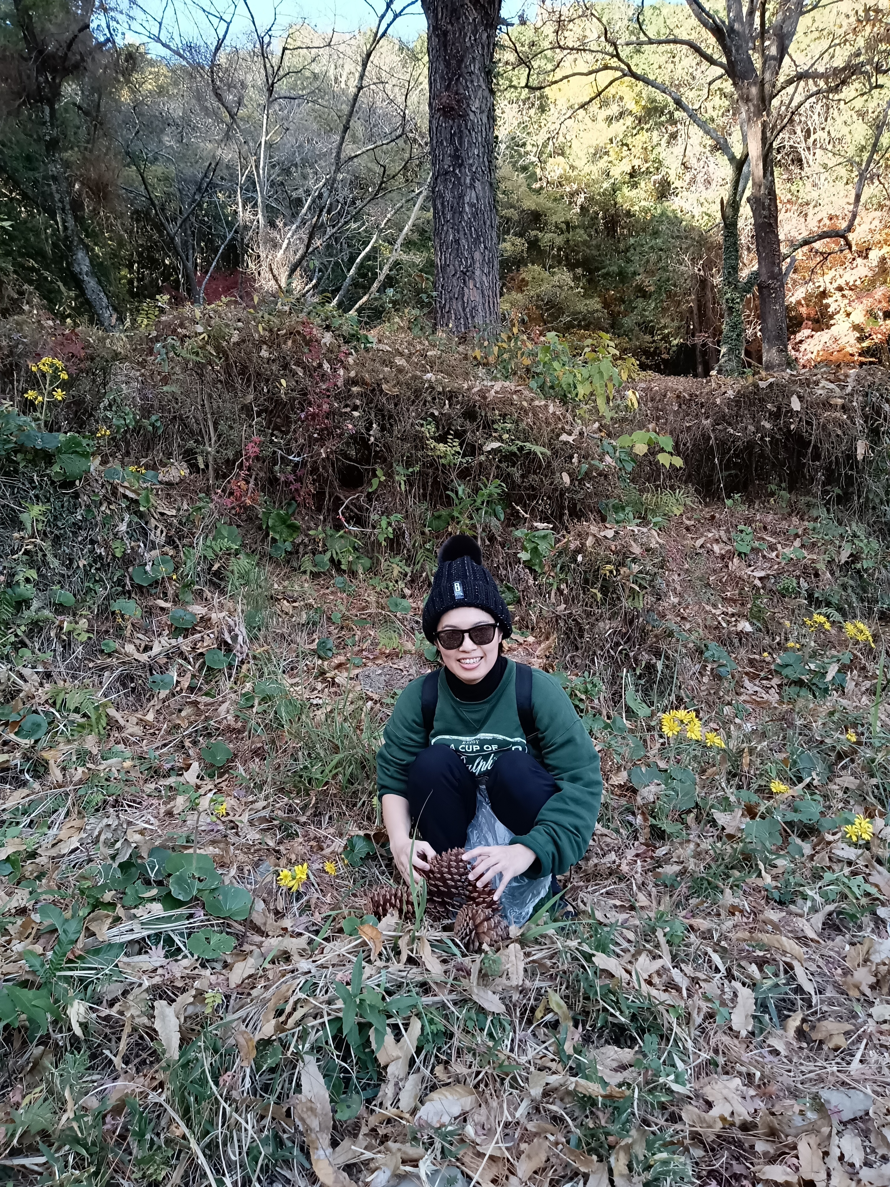 大王松ぼっくり拾いの成果！！！ | CAINZ DIY Square