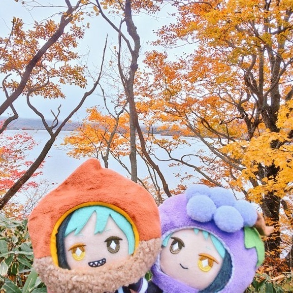 紅葉狩り | TORQUE STYLE