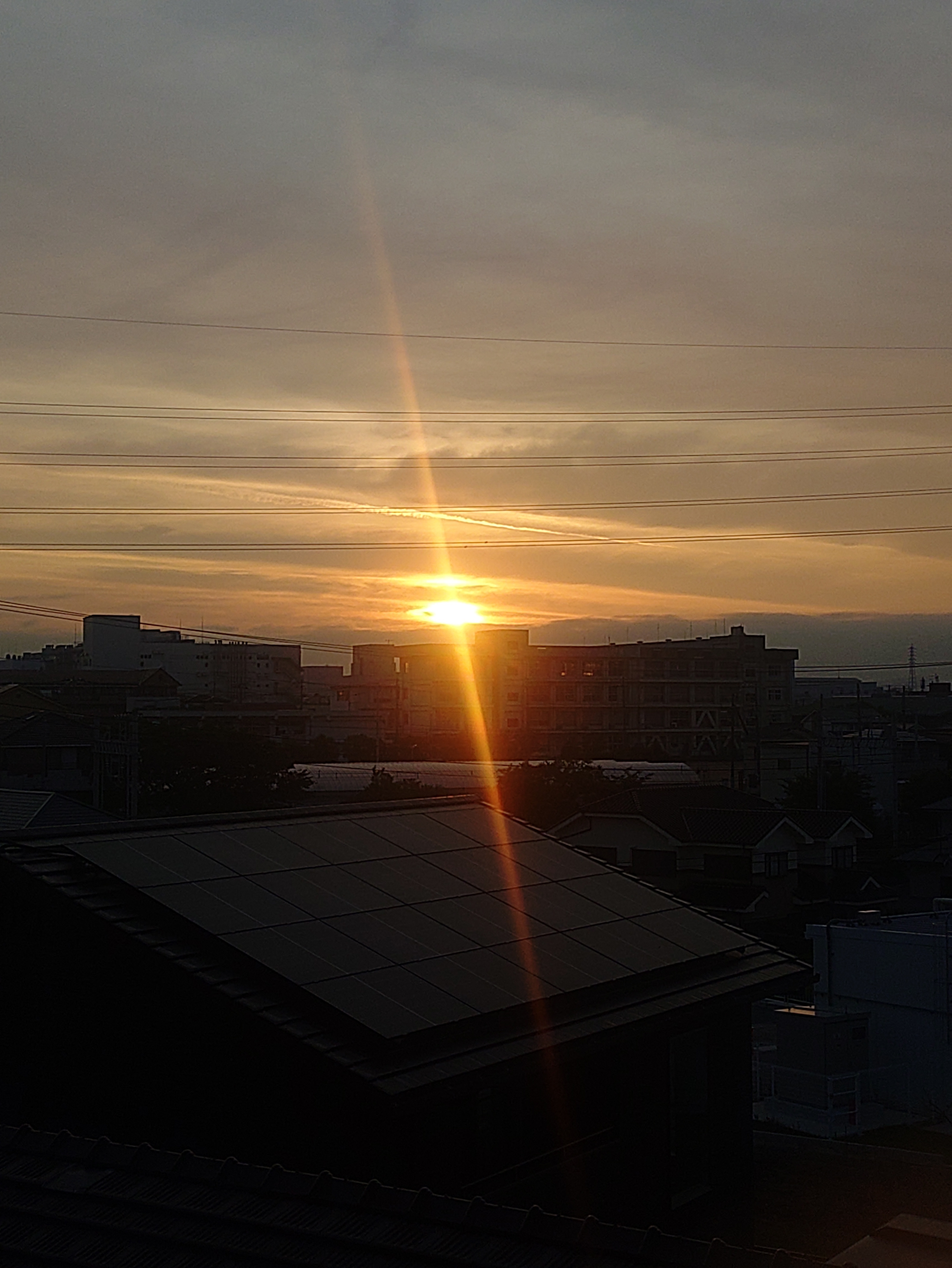 日の出🌄 | TORQUE STYLE