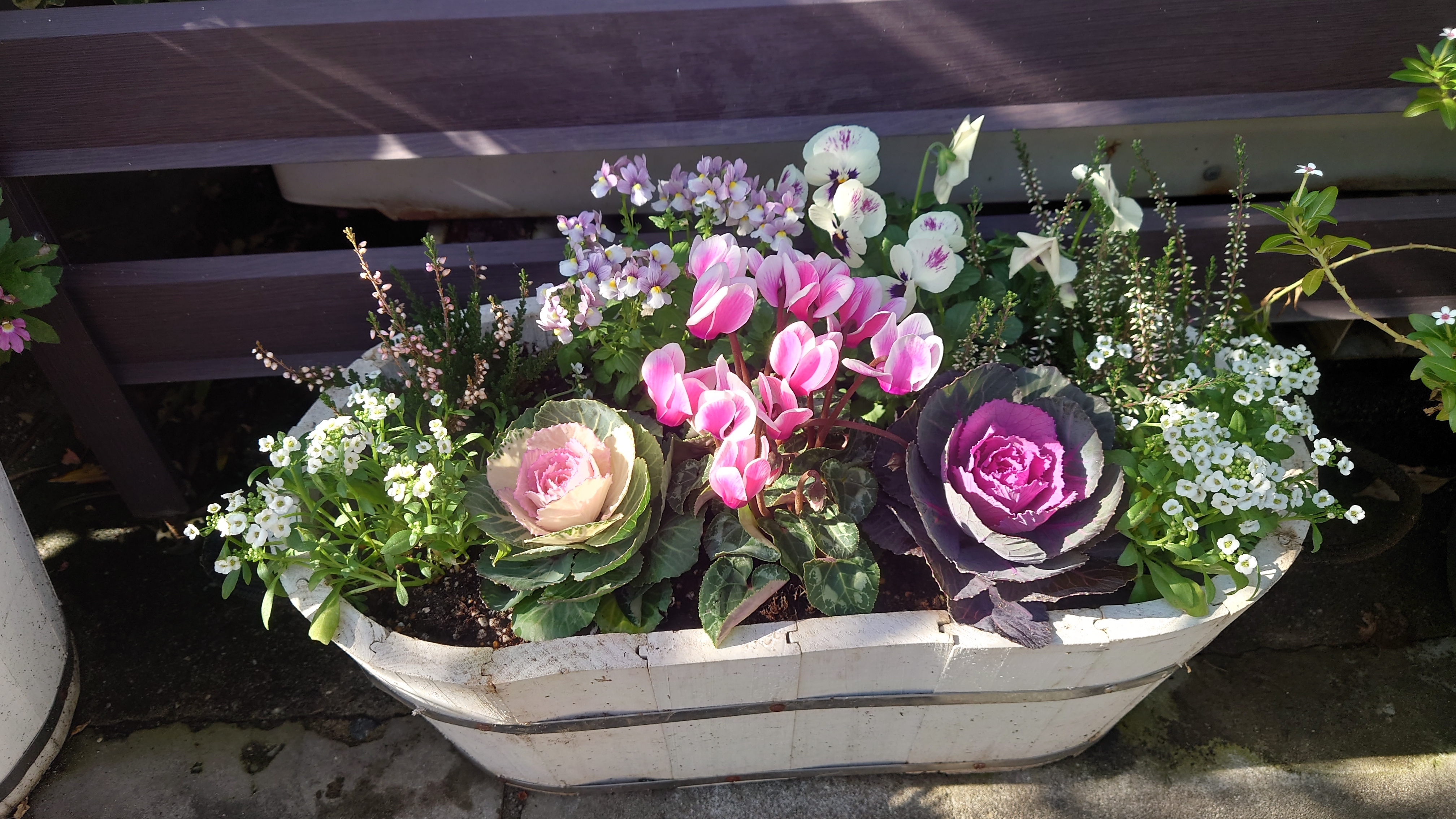 0cd15362-ccb1-42bb-9e75-