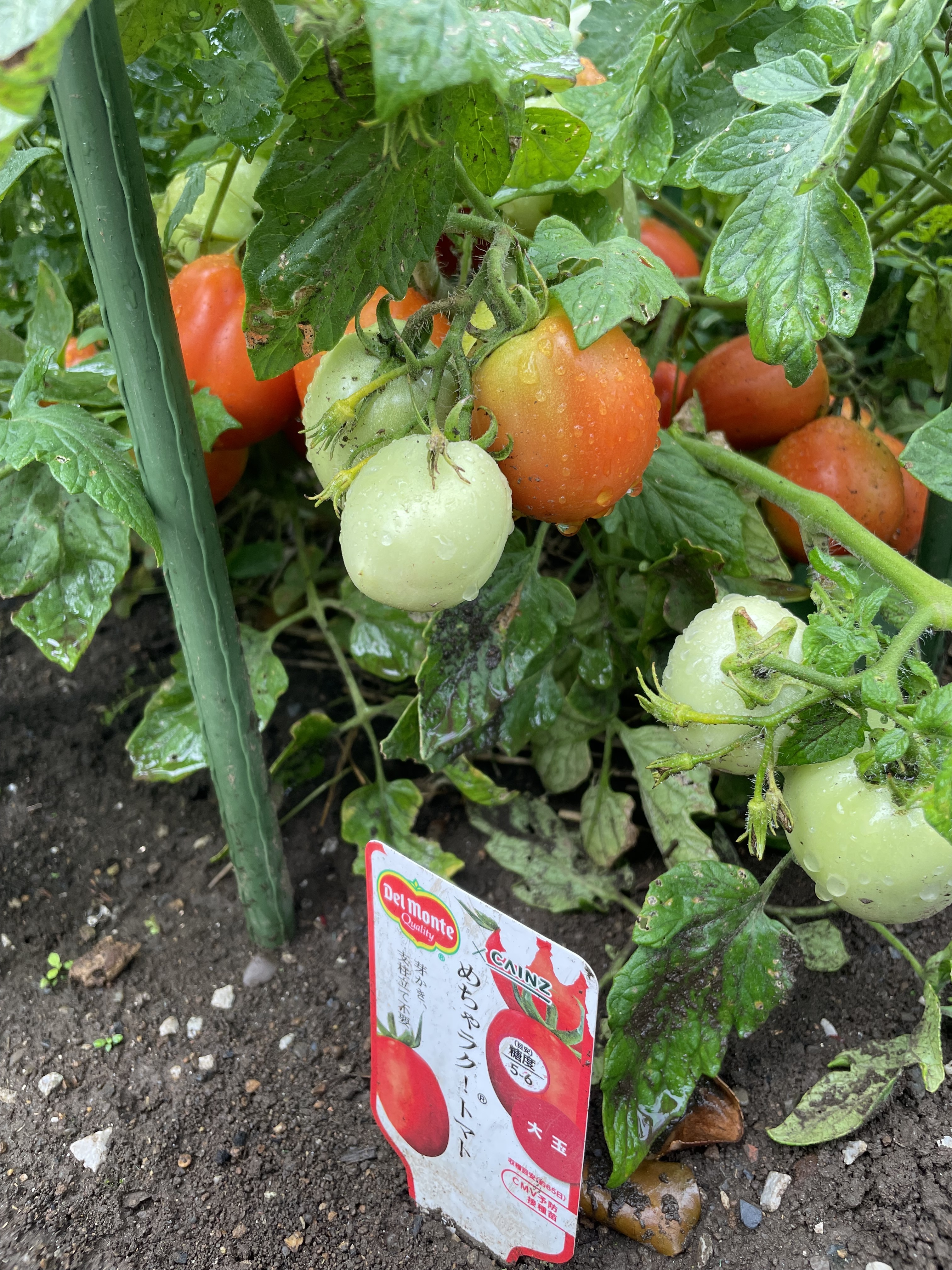 40eaf1c8-484d-4436-a821-