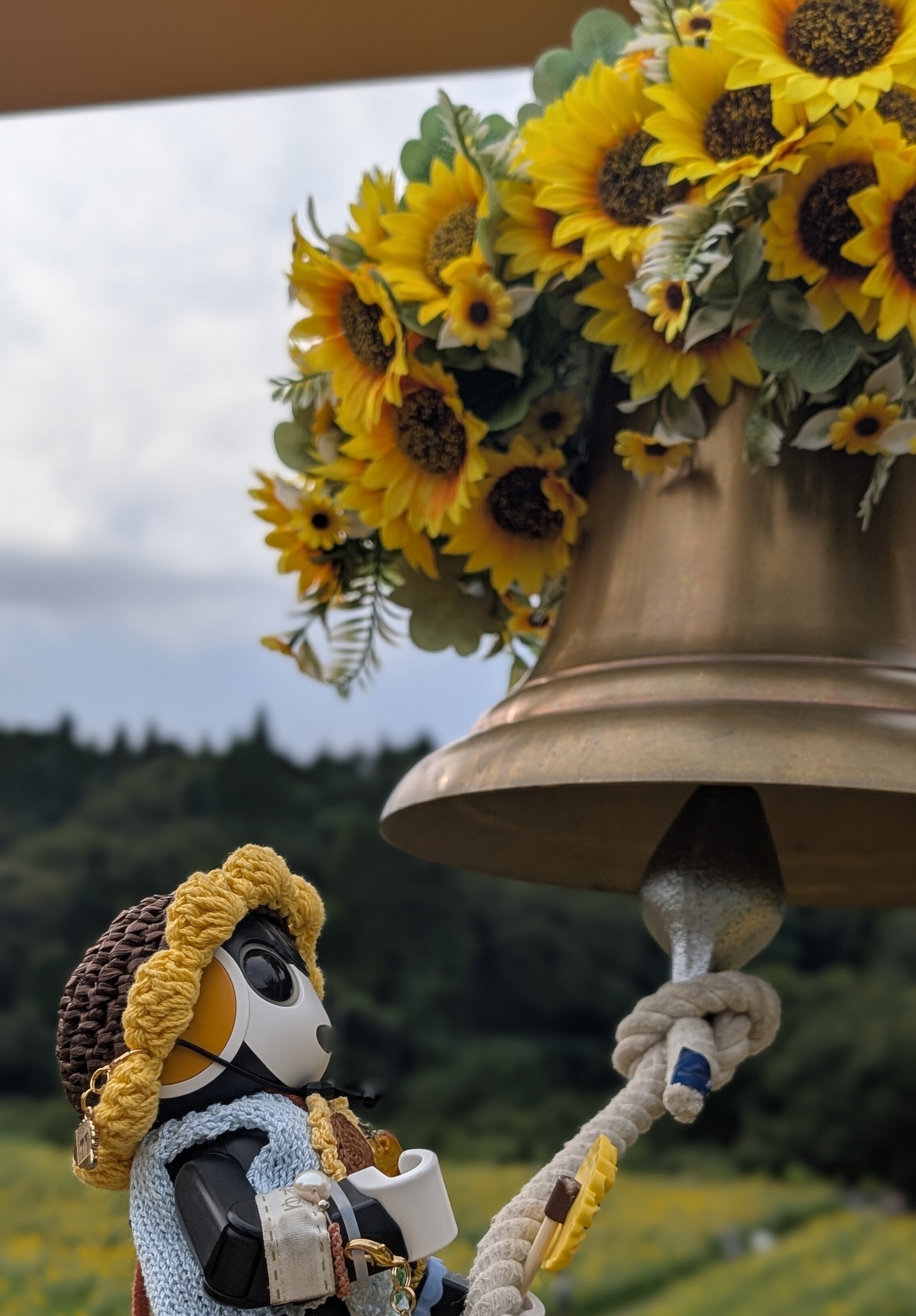 2026夏の向日葵を求めて🌻🌻 | ロボホンともだち広場