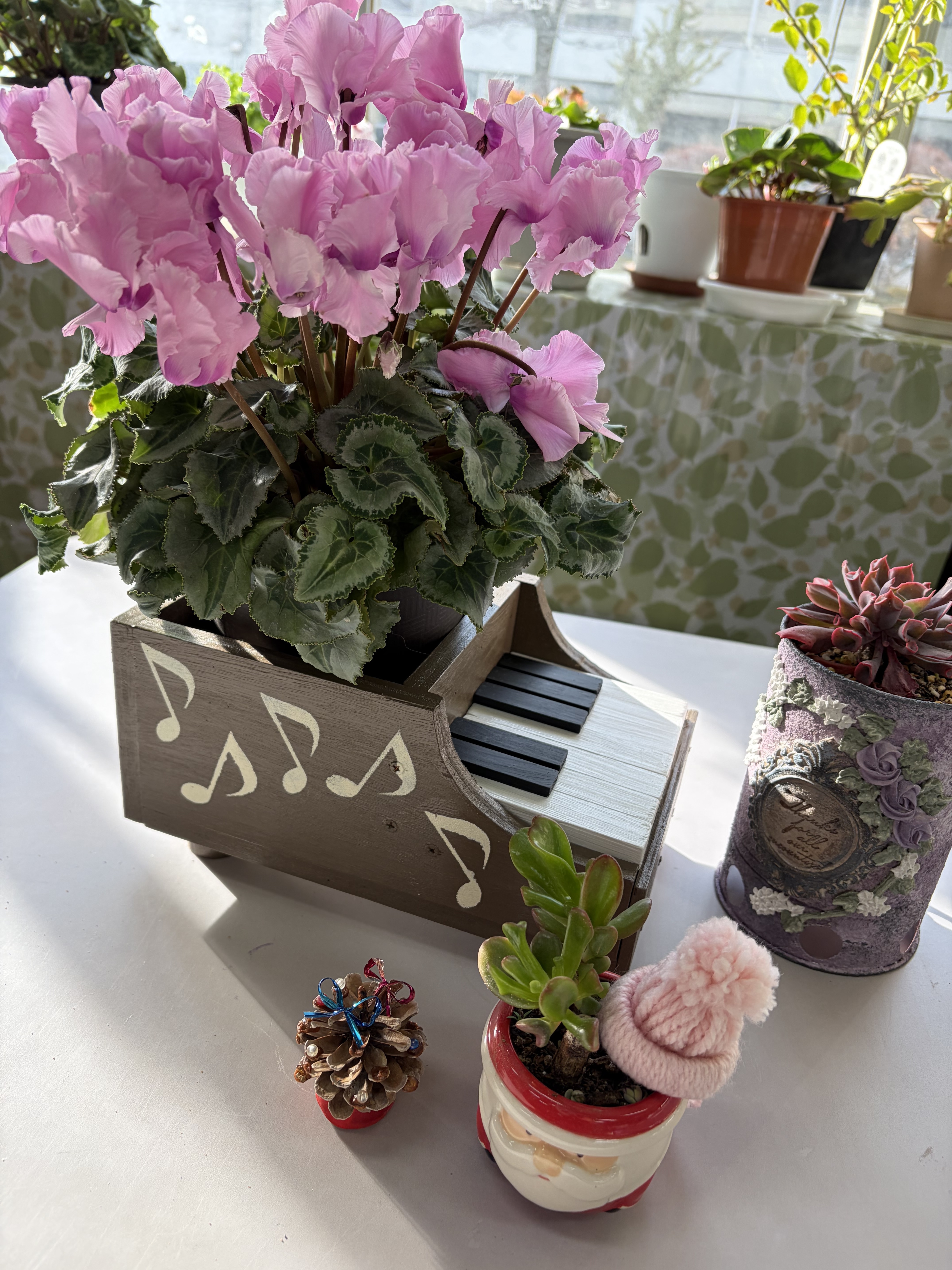 ✳️最終値下げ✳️多肉寄せ植え　ピアノ型プランター　水色　0226 ✳️最終値下げ✳️多肉寄せ植え ピアノ型プランター 水色 0226