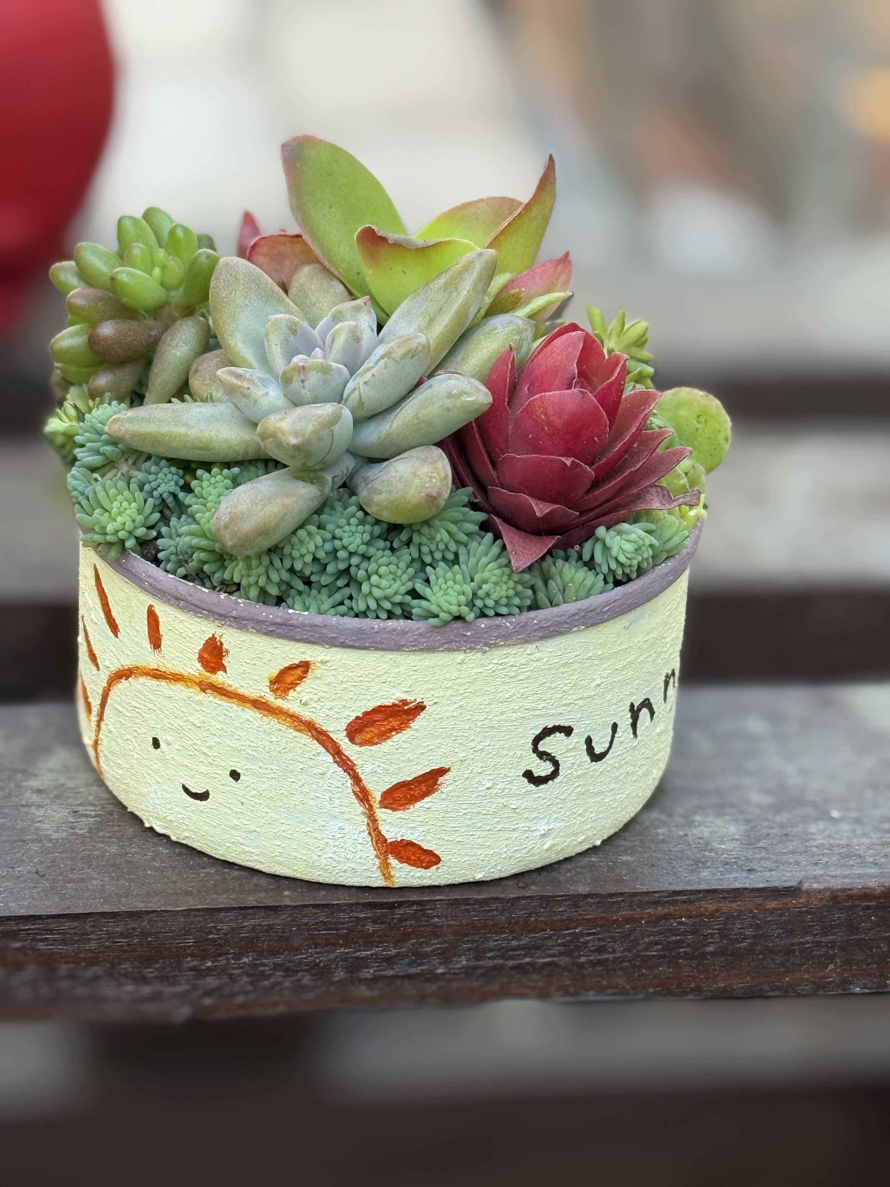 初寄せ植え(下の娘) | CAINZ DIY Square