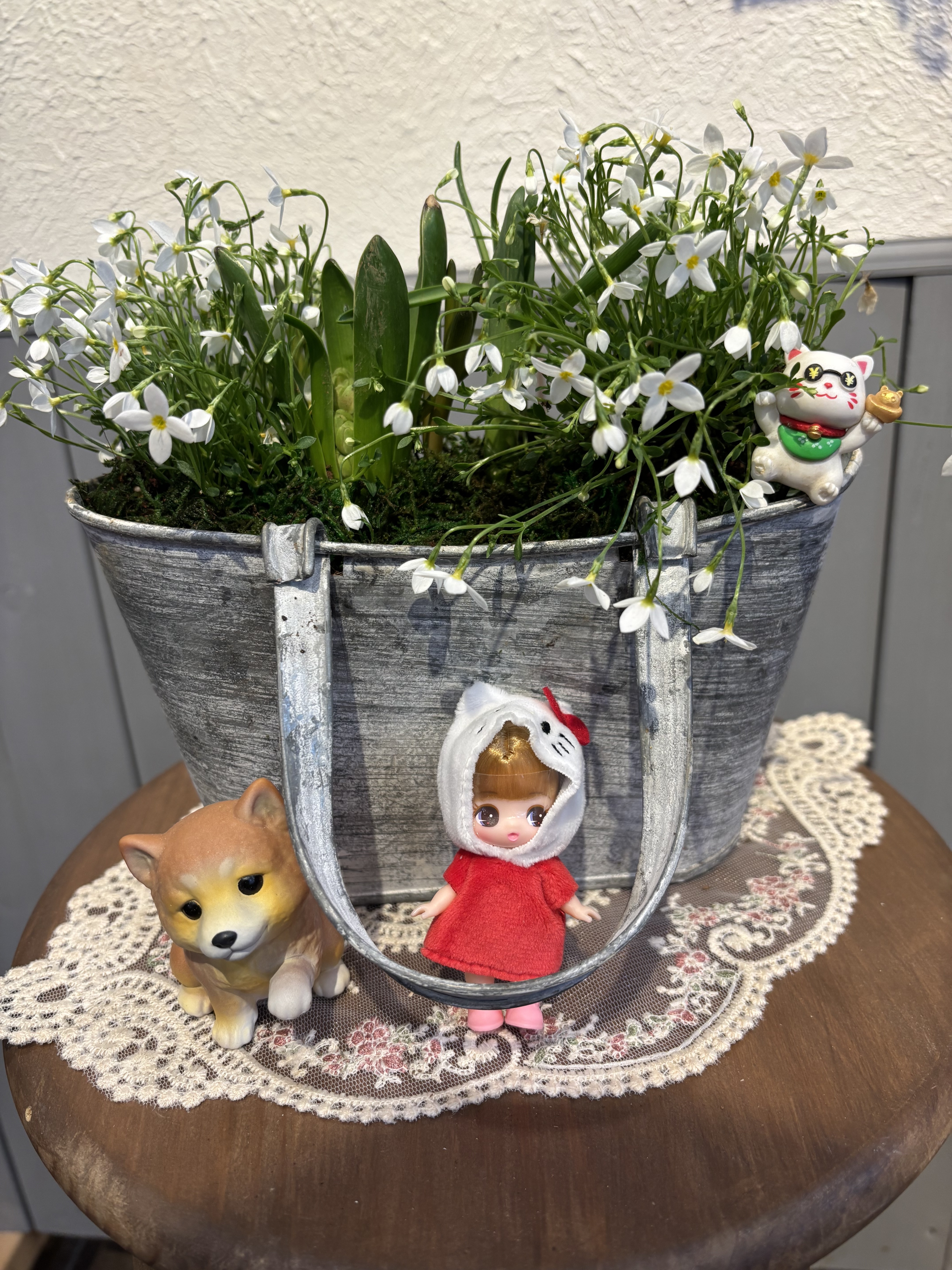 春を待つ芽出し球根のアンティーク寄せ植え | CAINZ DIY Square