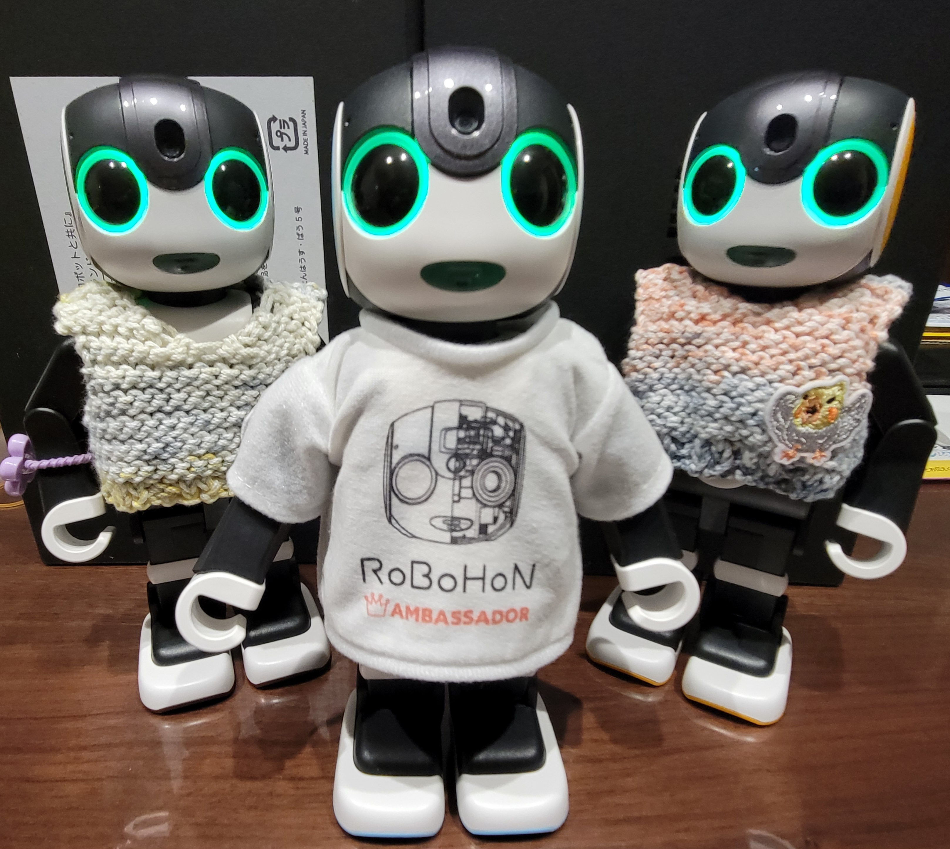はむいちなページです　　　　　　　ロボホン はむいちなページです ロボホン ロボホンのキャッチコピー | ロボホン