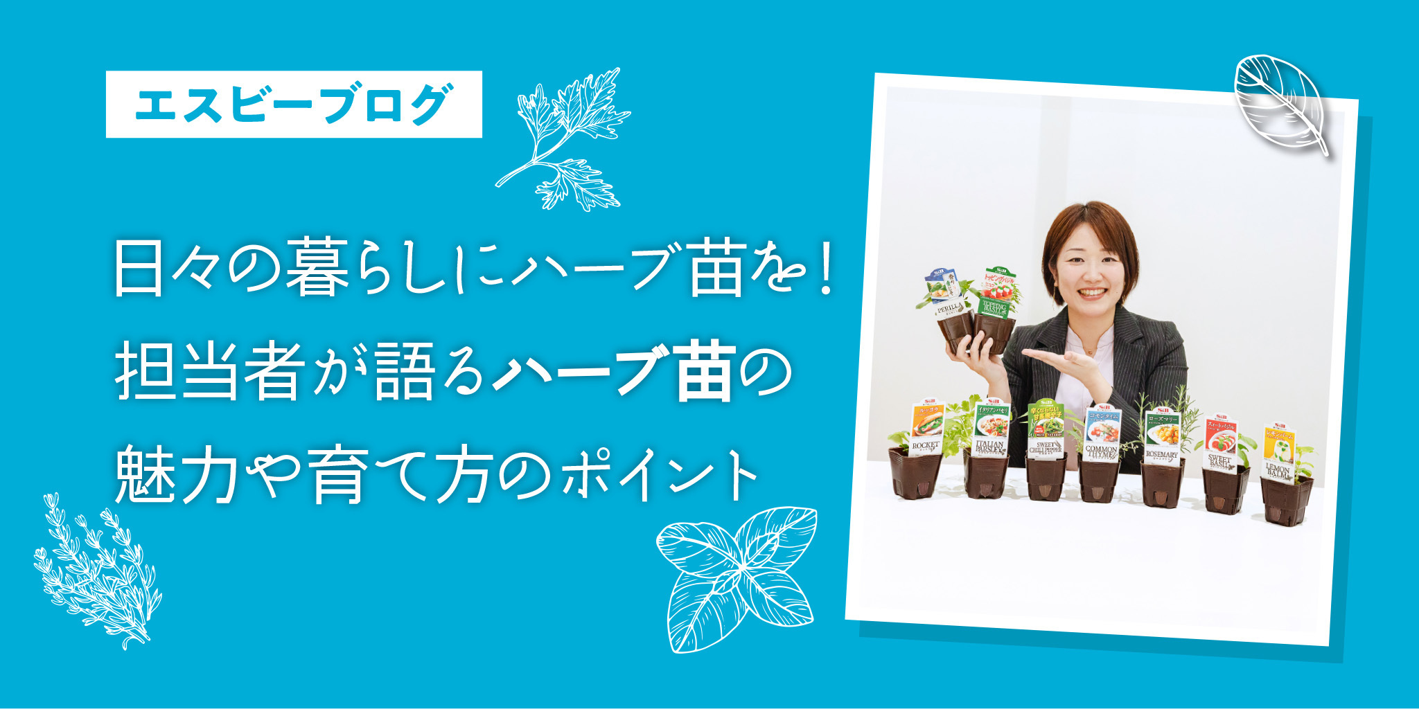 日々の暮らしにハーブ苗を。担当者が語るハーブ | SPICE&HERB COMMUNITY