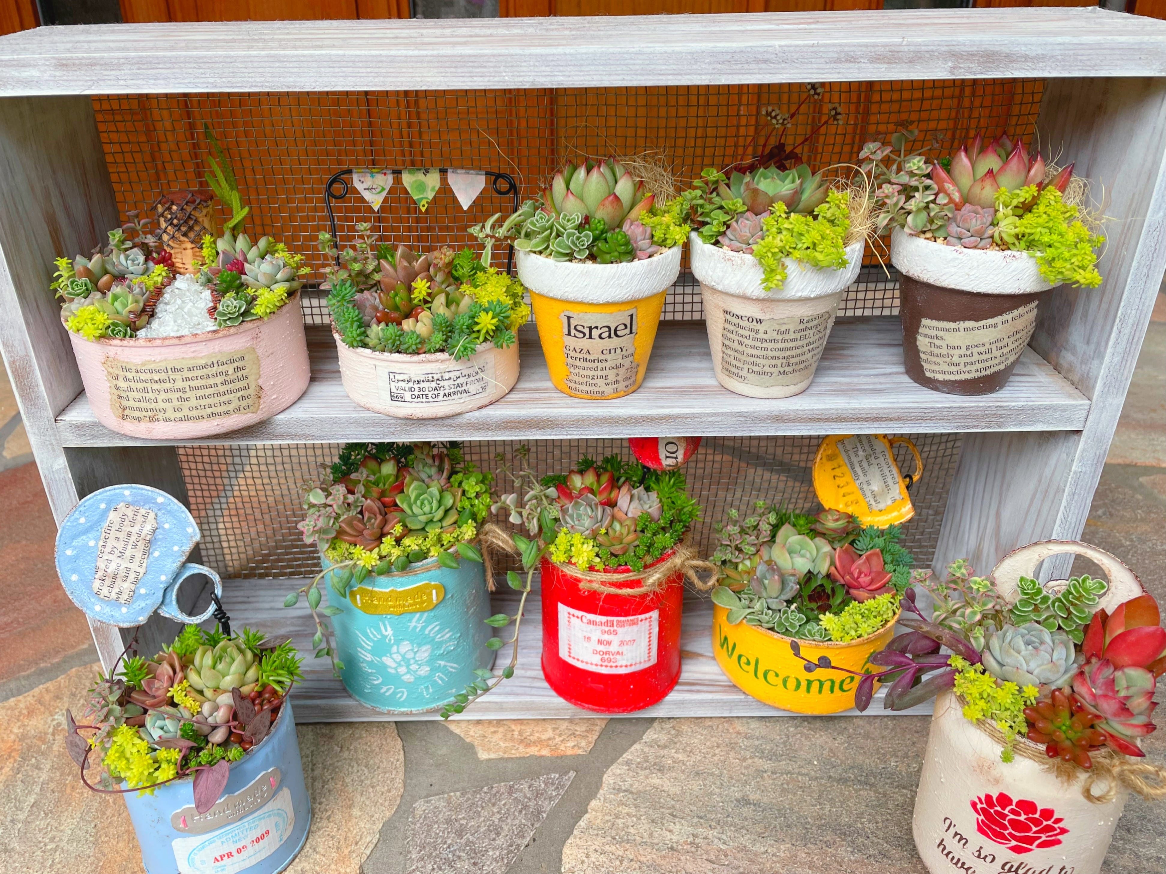 マルシェ用寄せ植え✨ | CAINZ DIY Square