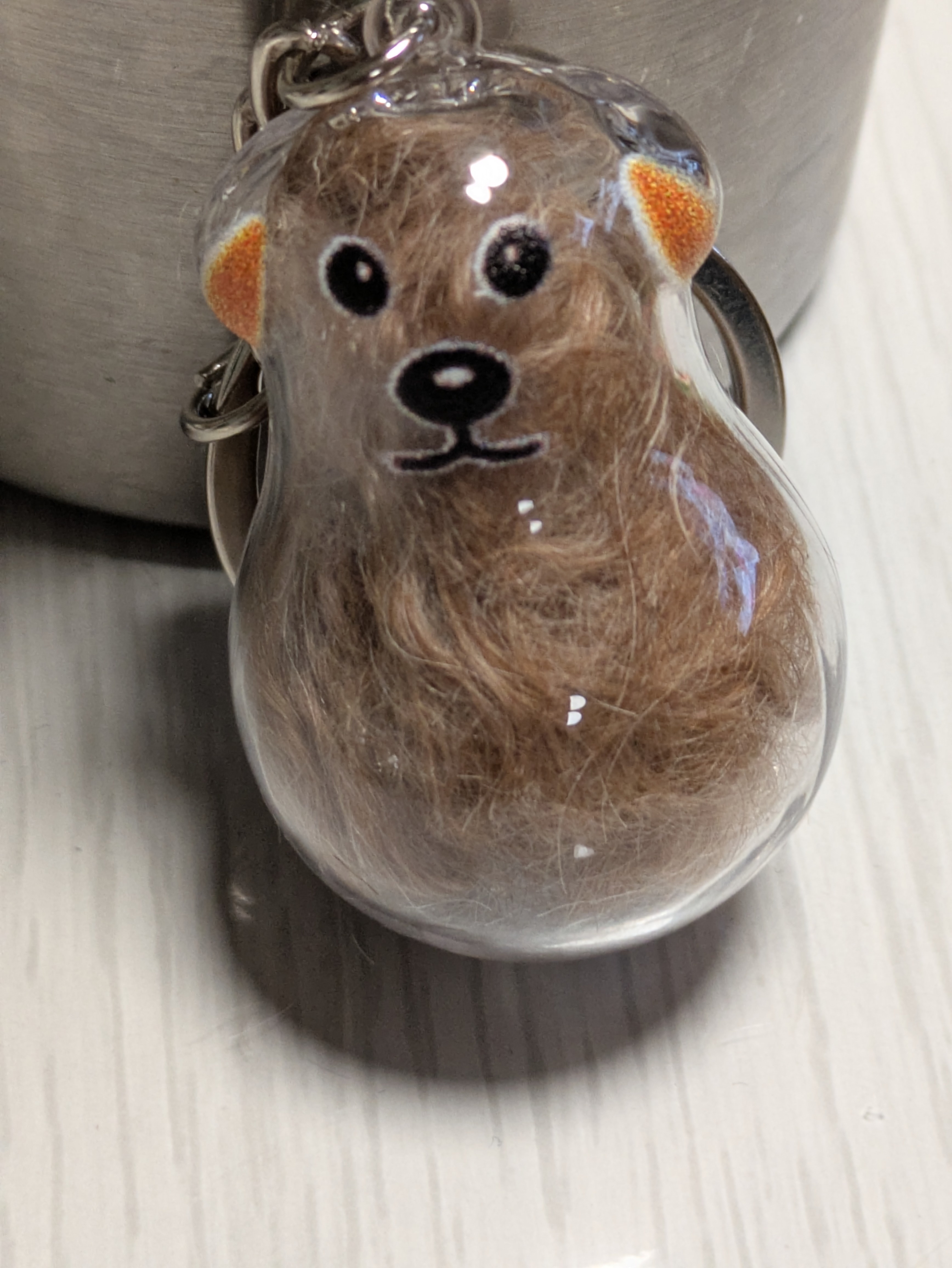 ガチャの🐾毛入れ