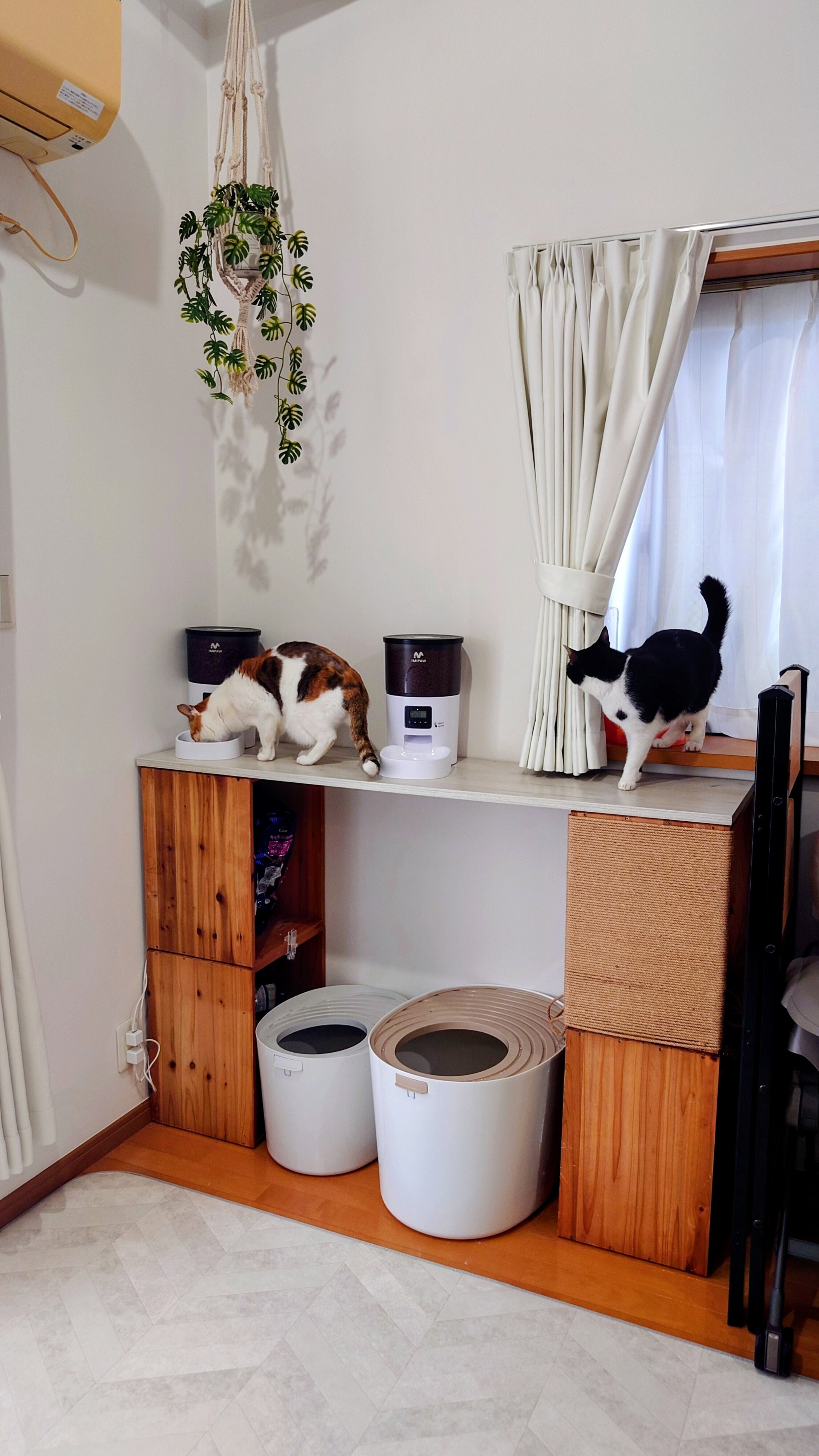 猫グッズをひとまとめ