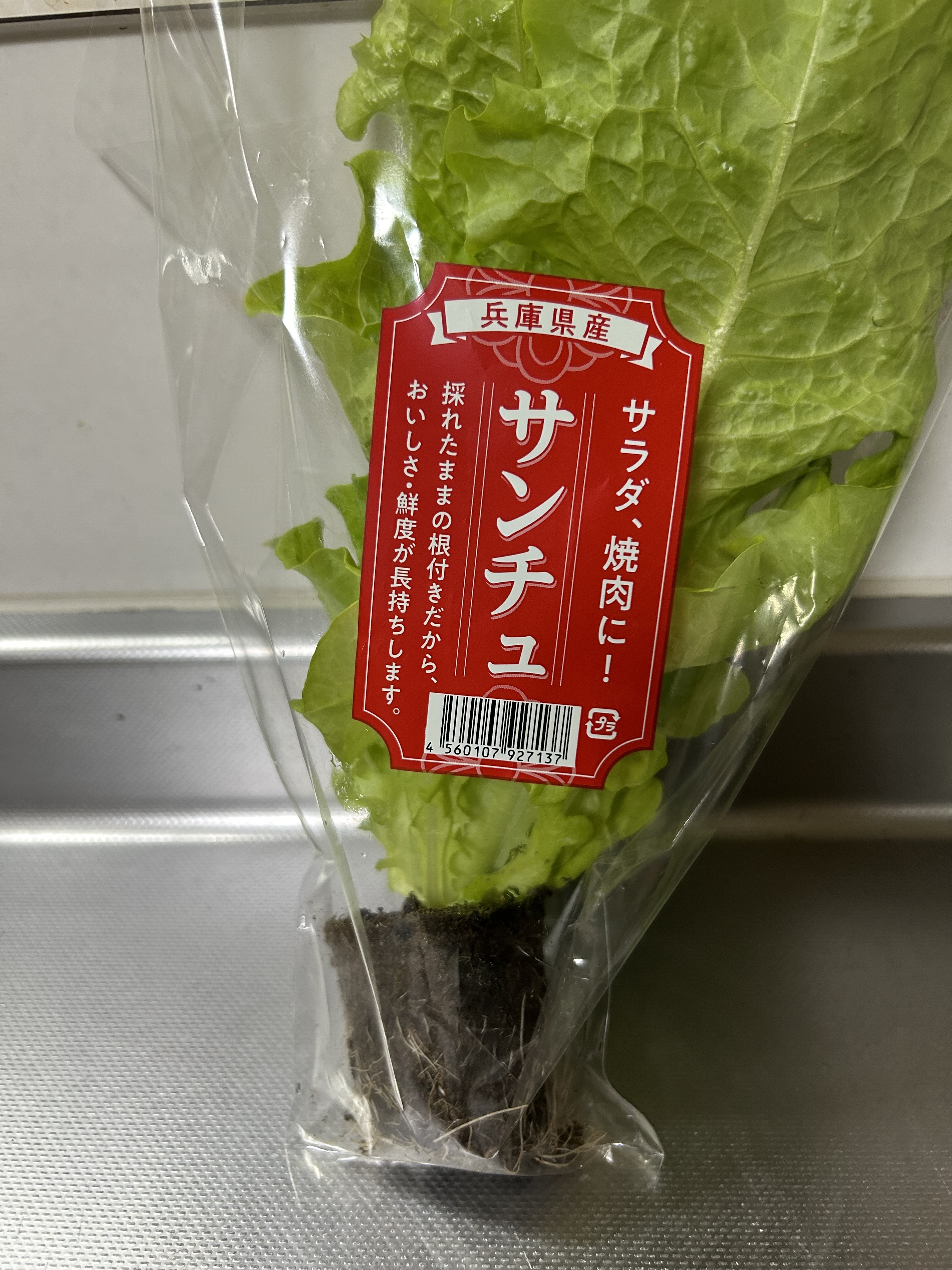 サンチュ | CAINZ DIY Square