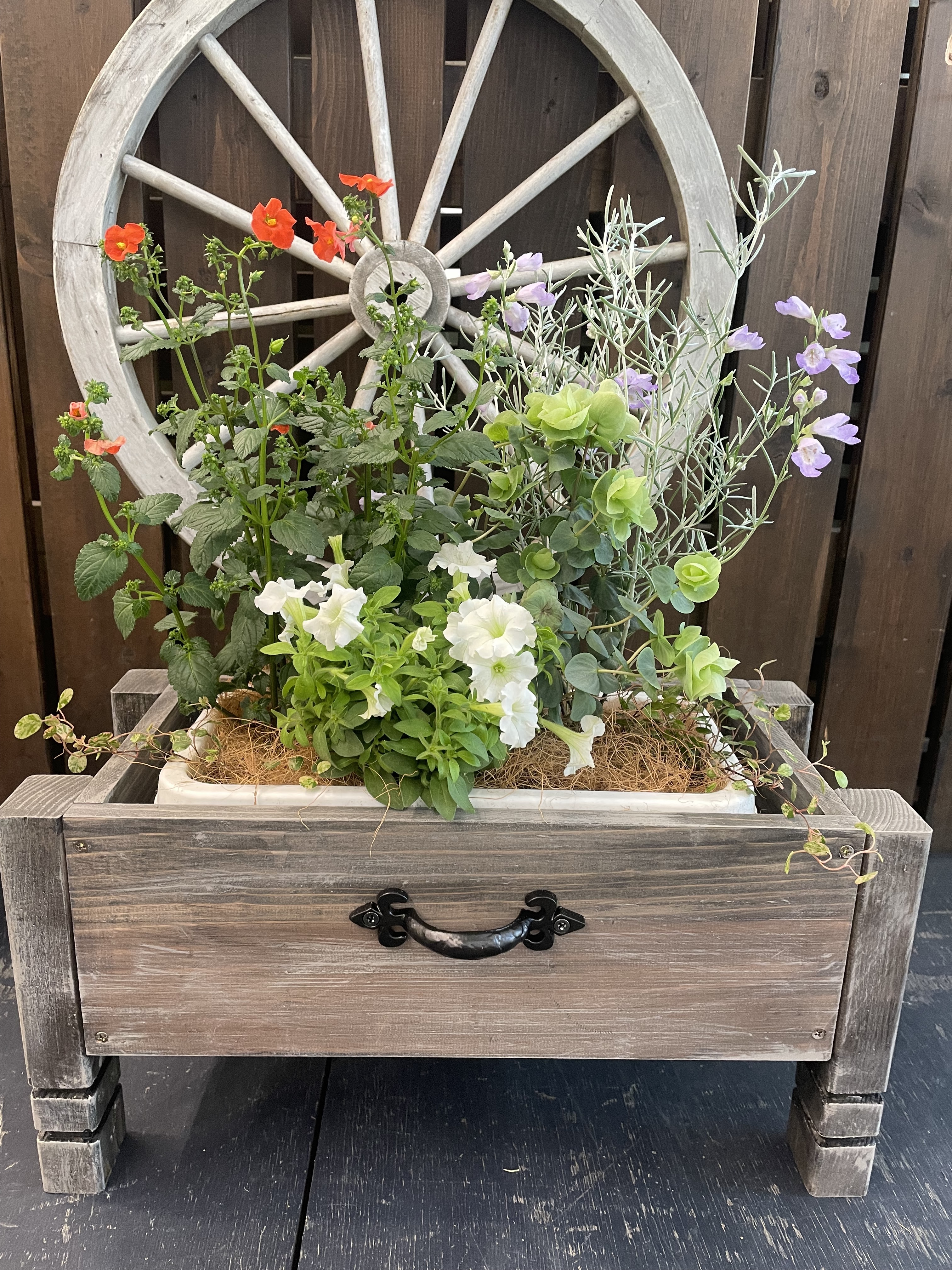 チェスト風フラワーボックスと寄せ植え | CAINZ DIY Square
