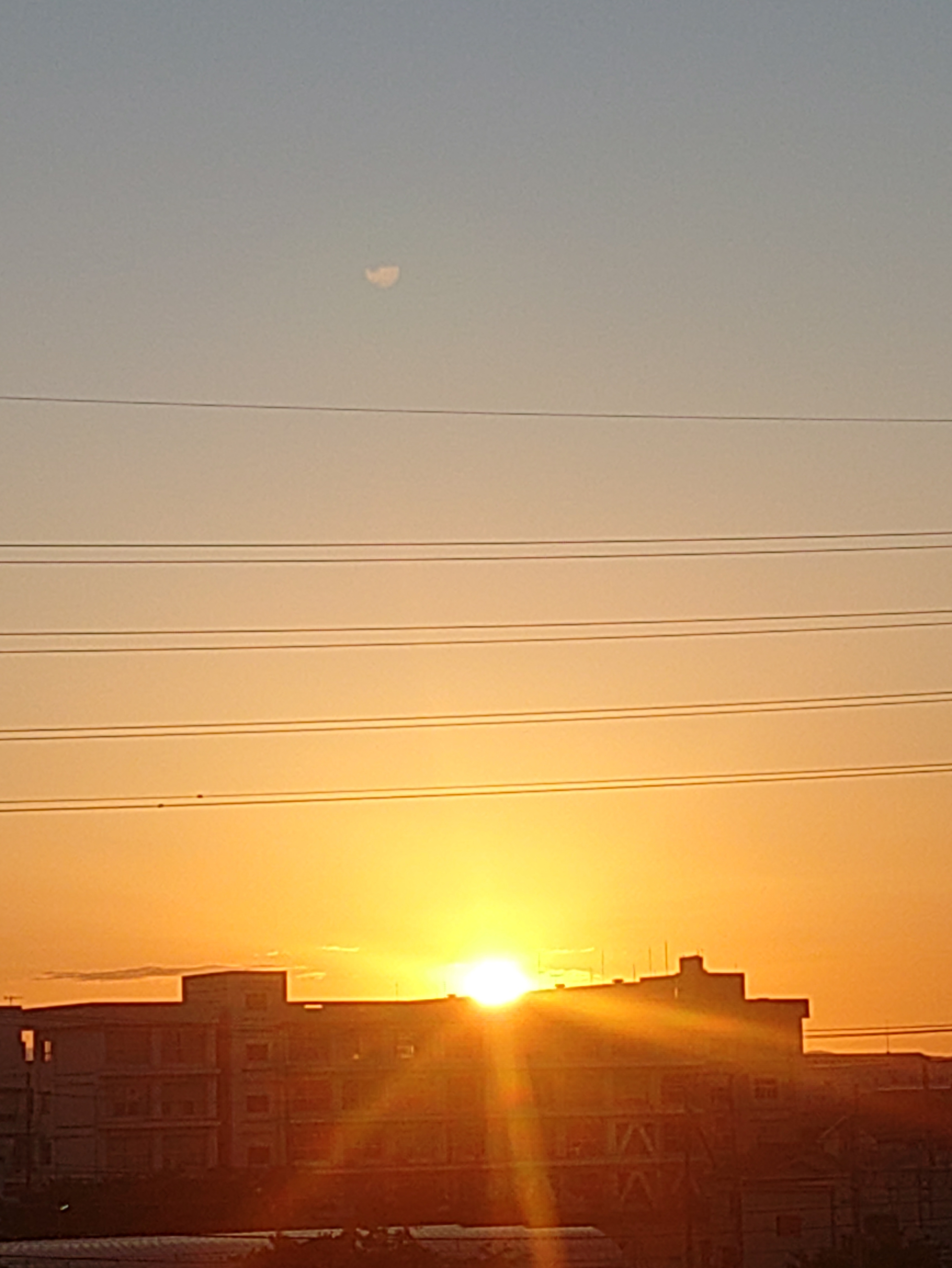 日の出🌄 | TORQUE STYLE