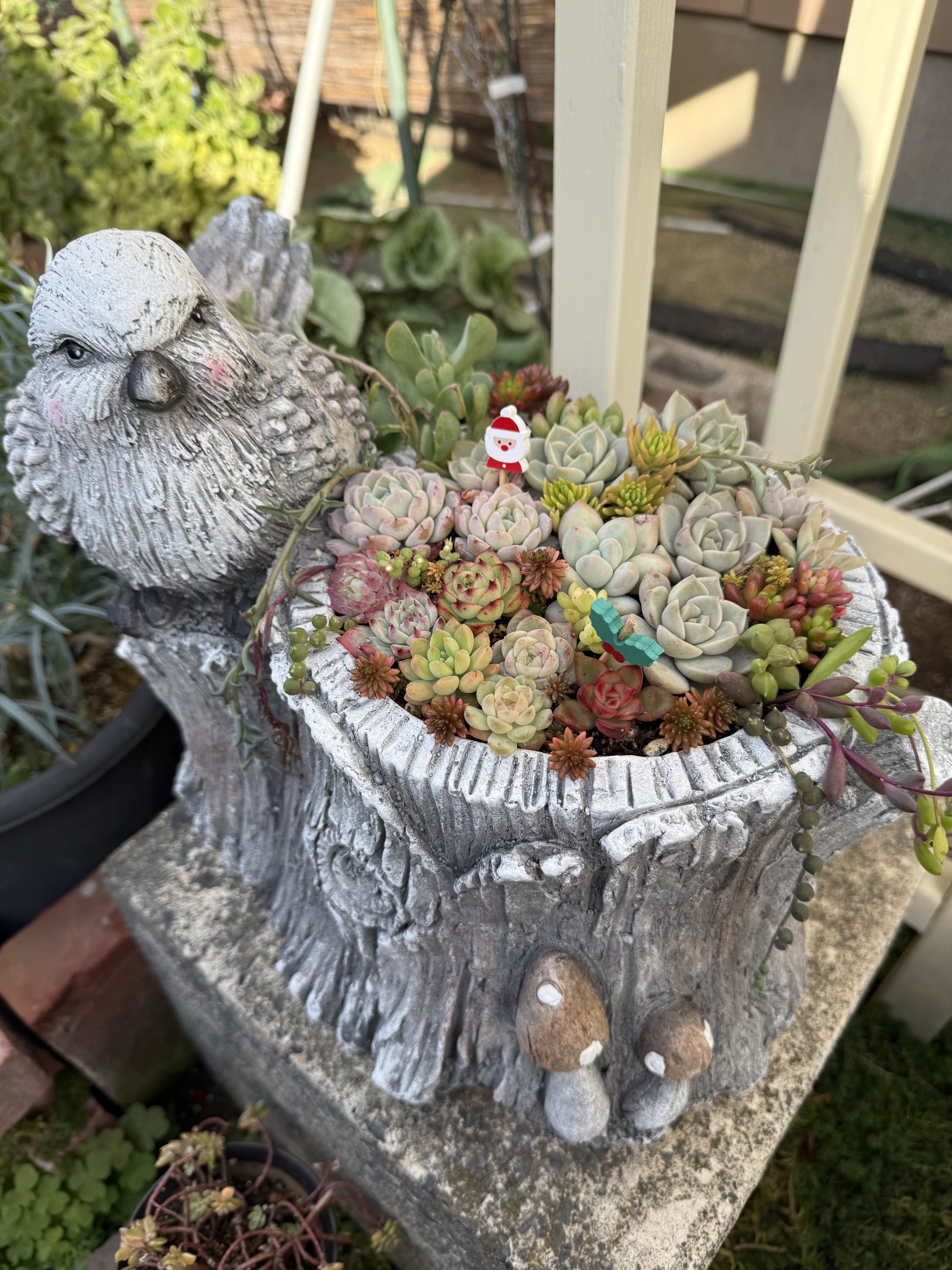 サンタさんと一緒 | CAINZ DIY Square