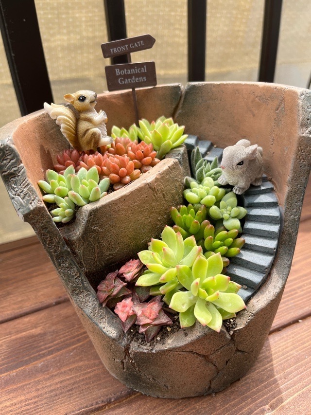 ★多肉植物　寄せ植え〜手作り木製カート寄せ〜★ 多肉植物の寄せ植え | CAINZ DIY Square