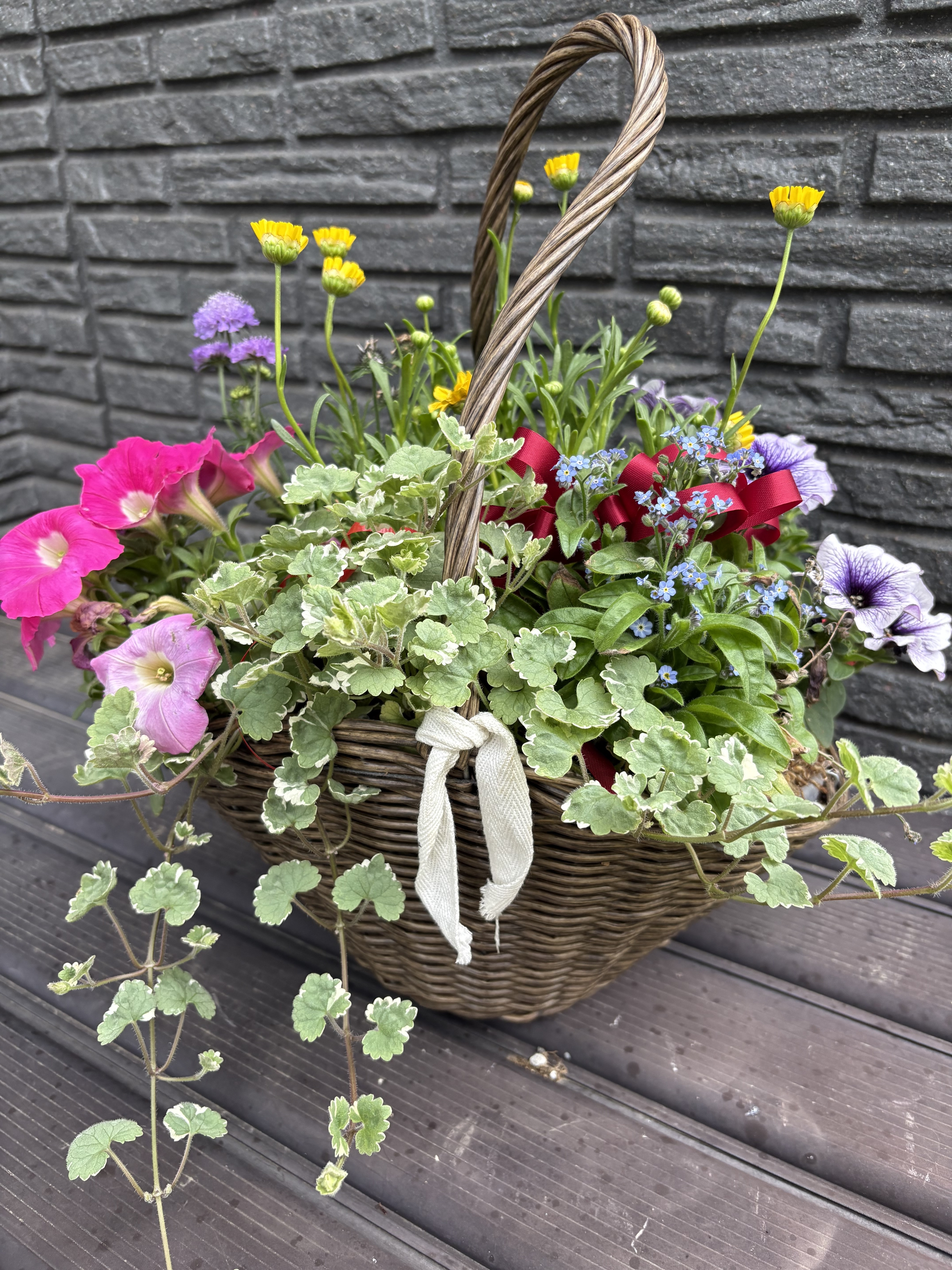 春のカゴ寄せ植え🪴その後 | CAINZ DIY Square