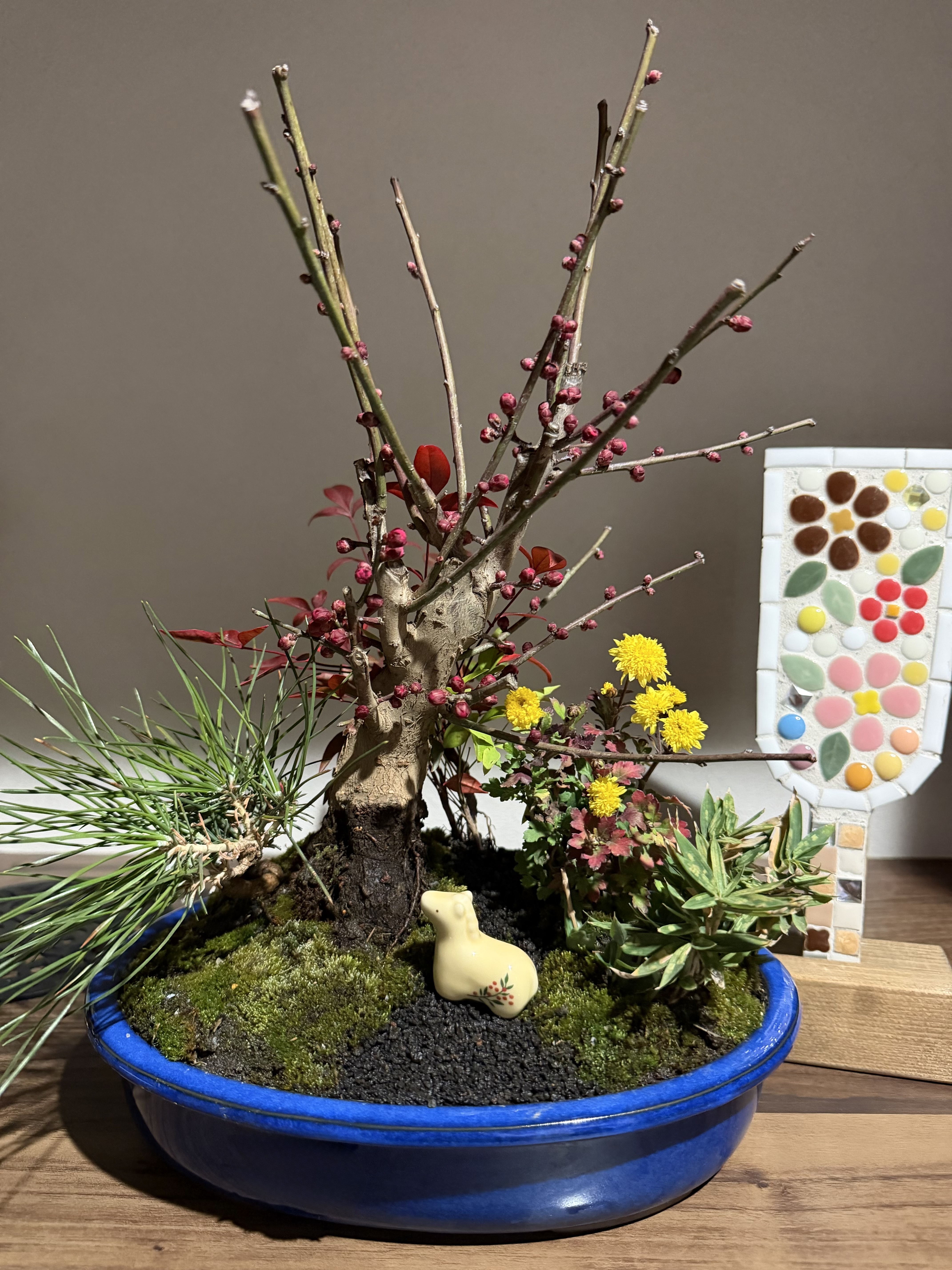 松竹梅の寄せ植え盆栽 | CAINZ DIY Square