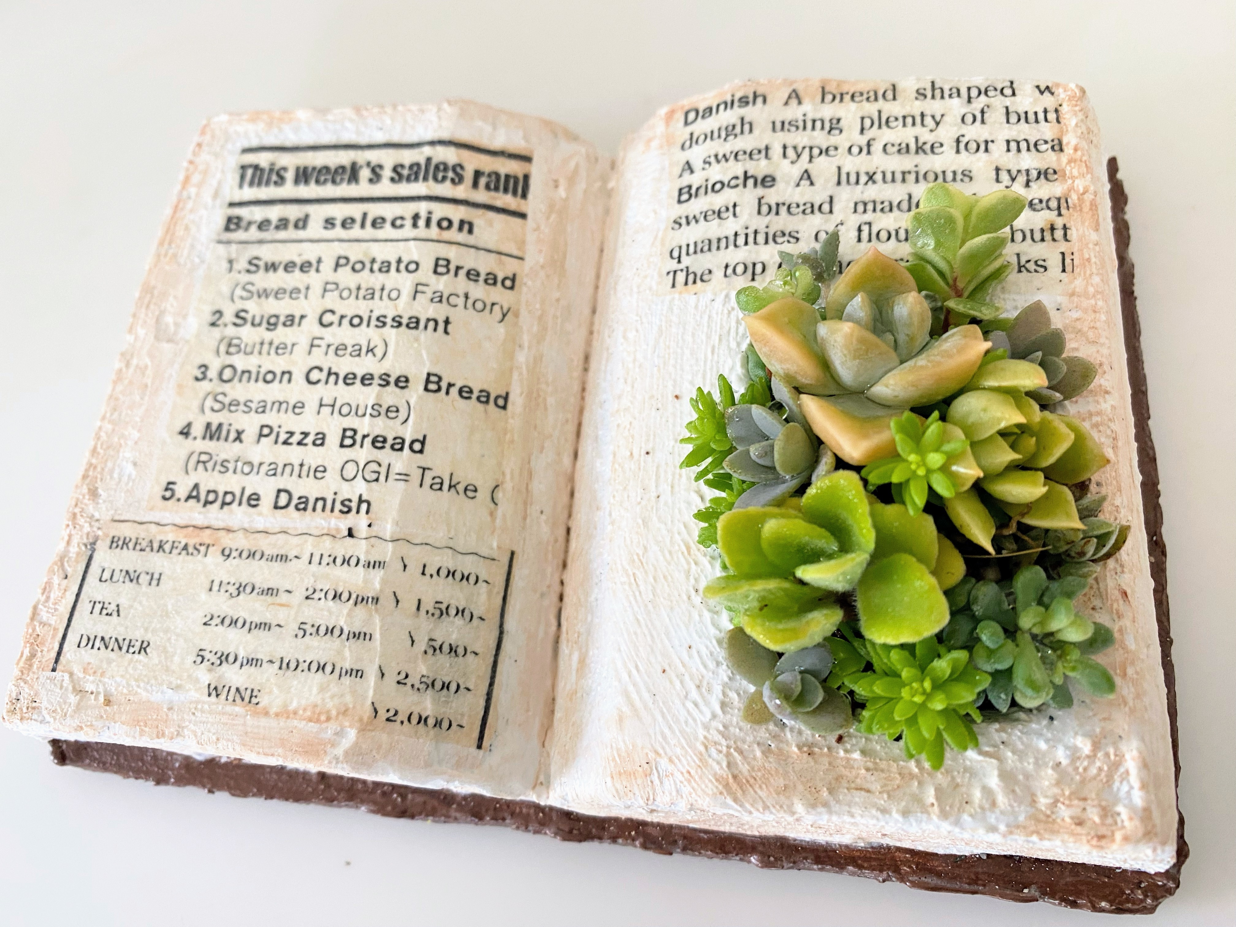 モルタル風ブック型鉢 | CAINZ DIY Square