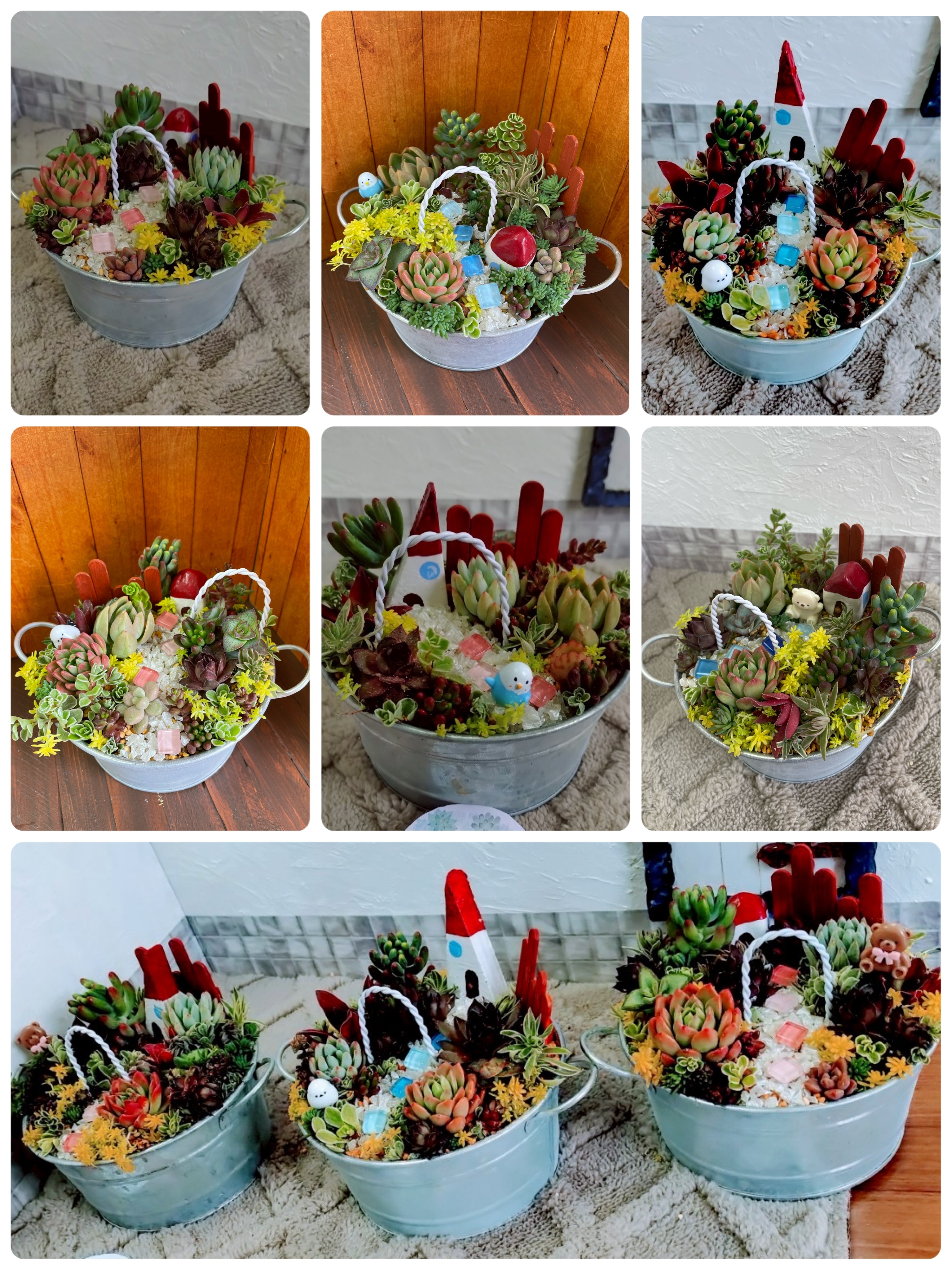 多肉の箱庭風寄せ植えWS開催しました🎶 | CAINZ DIY Square