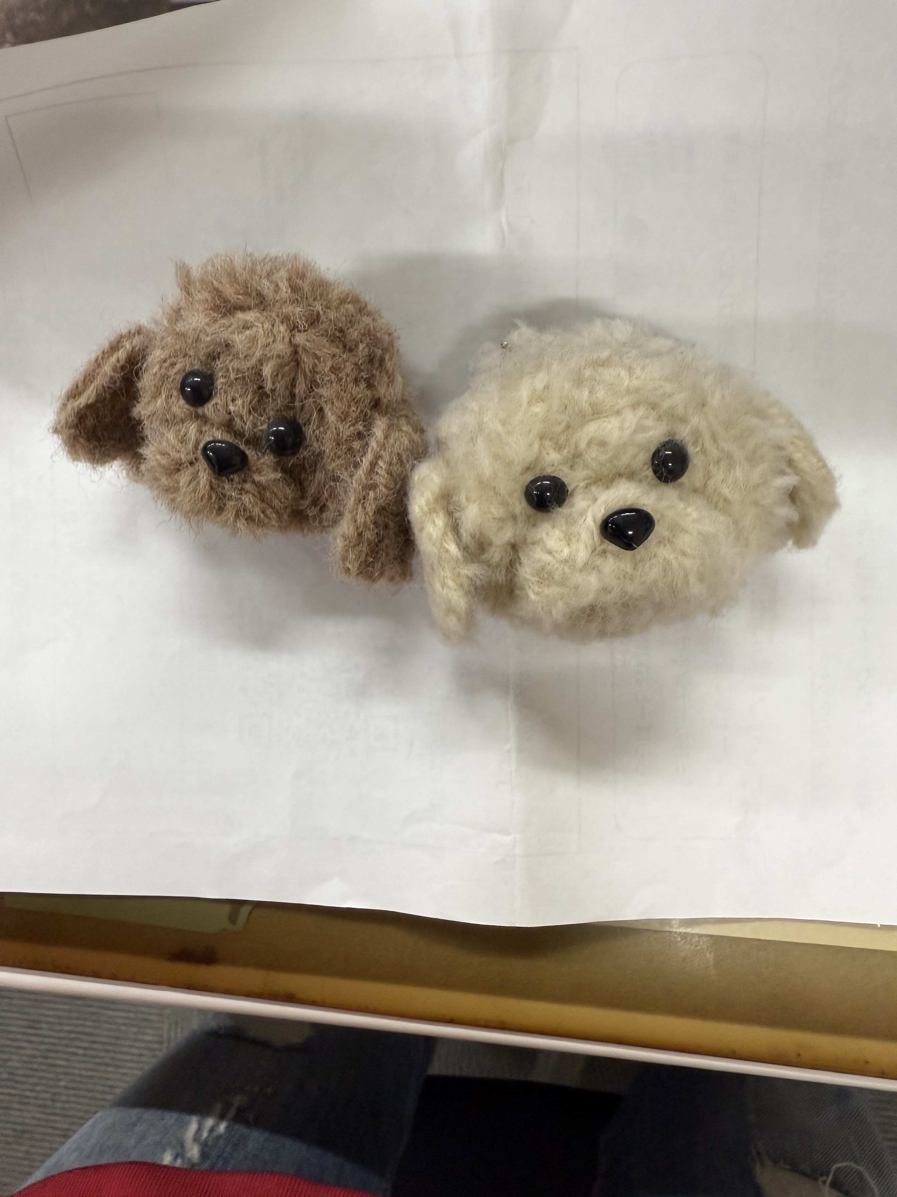 トイプードル大好き | CAINZ DIY Square