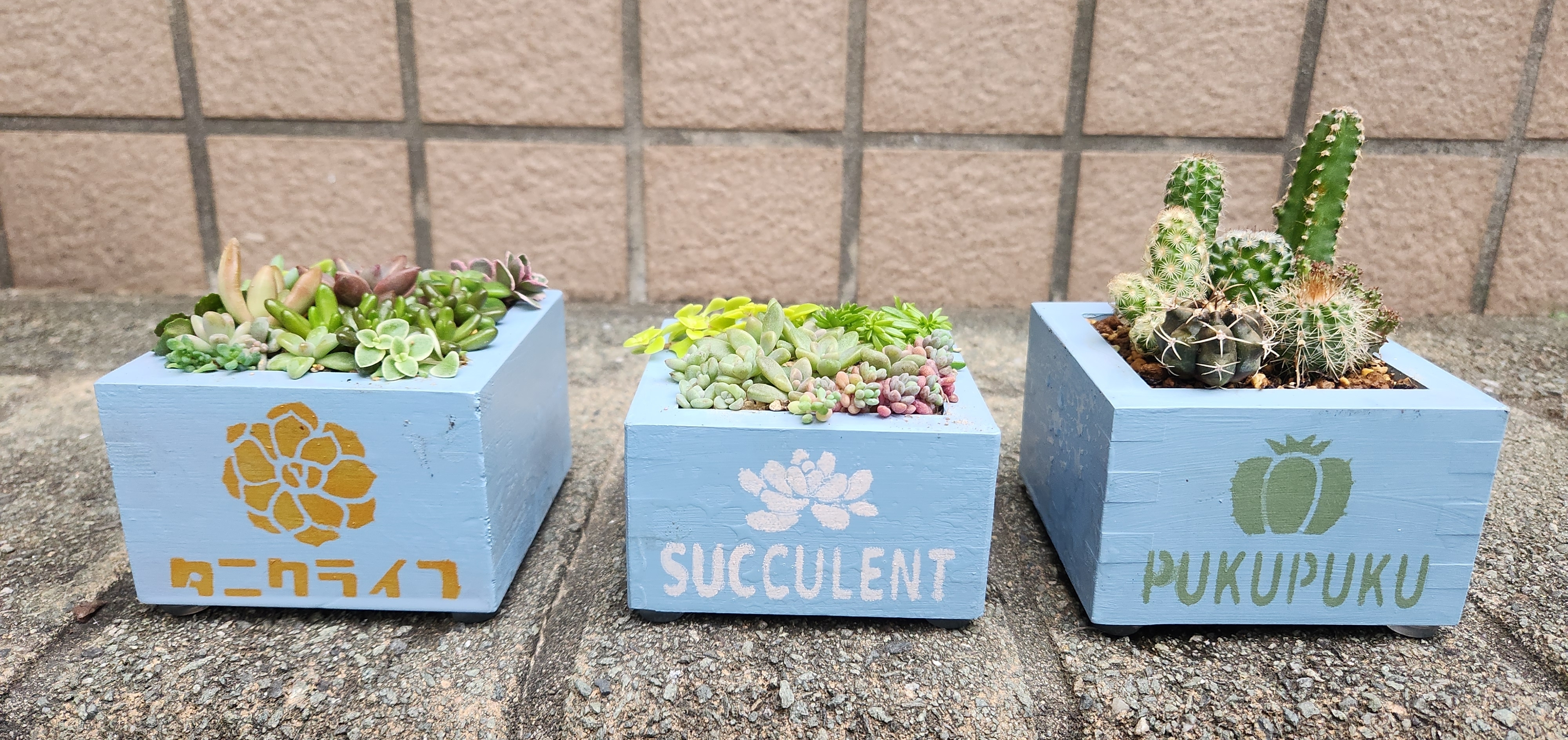 枡のリメイク鉢に寄せ植え | CAINZ DIY Square
