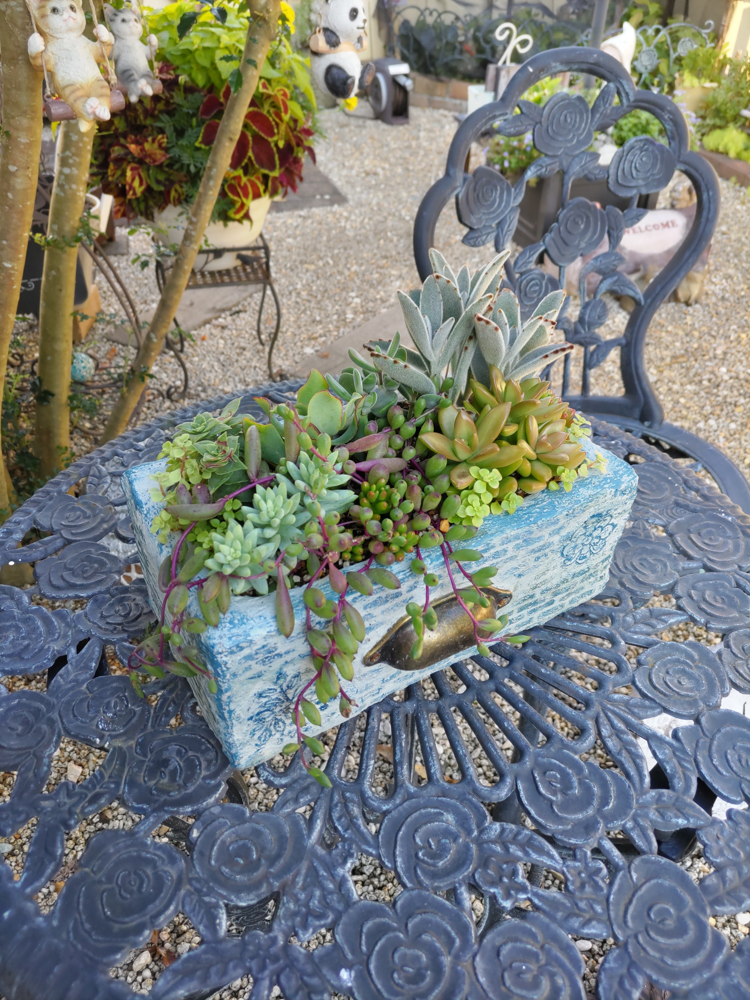 モルタルの引き出しに寄せ植え💚 | CAINZ DIY Square
