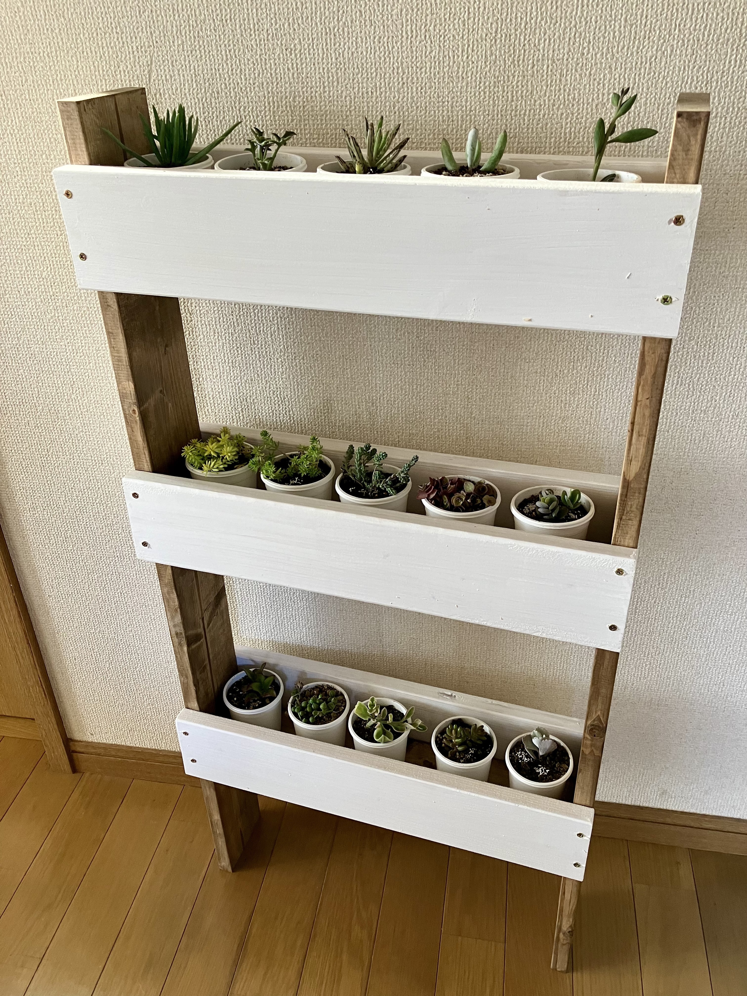 アン☆様 多肉植物棚 TD-YW83 変更あり ☆多肉植物棚☆ 観葉