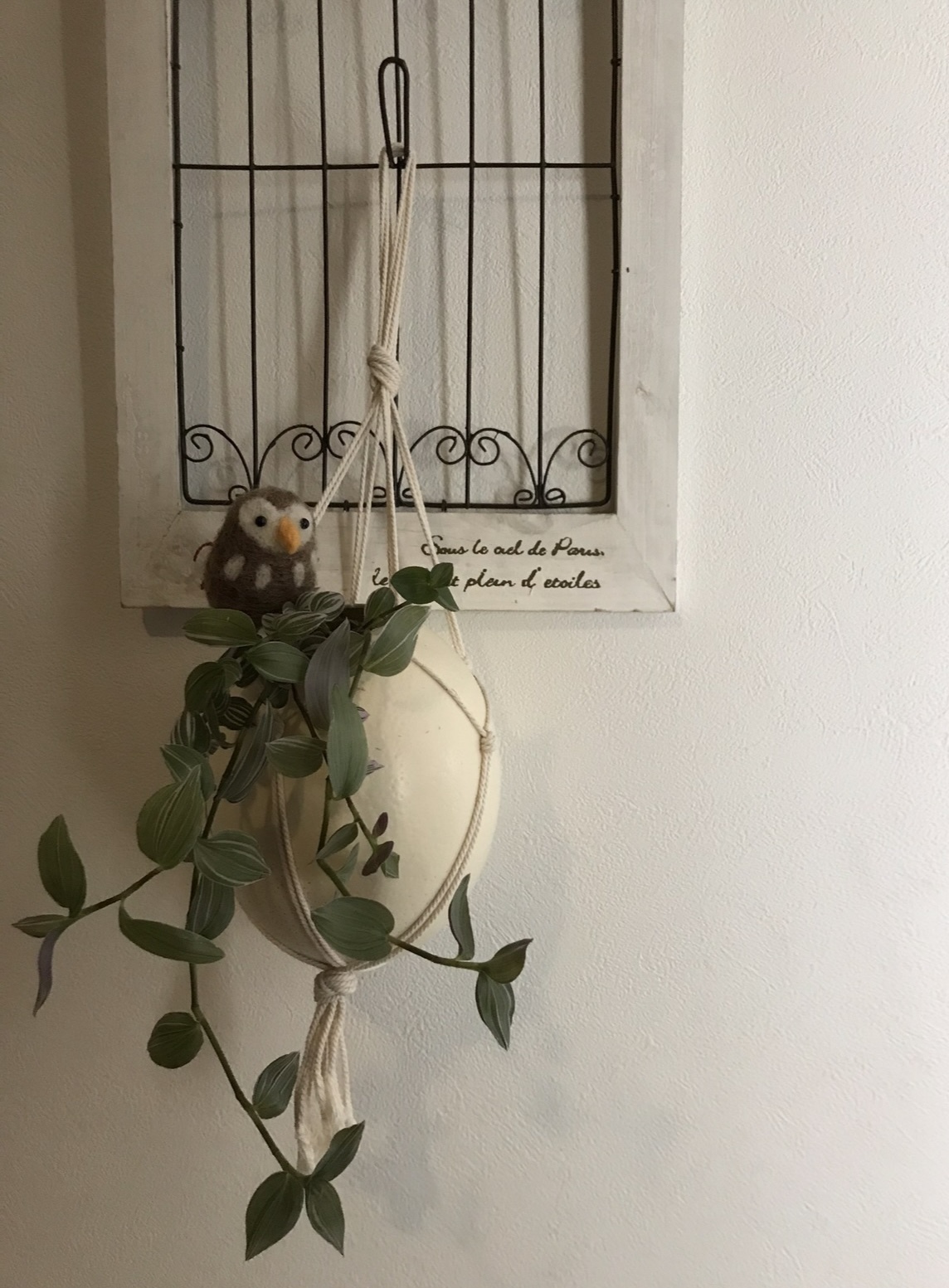 アレンジアワード2023『ダチョウの卵🐣で、 | CAINZ DIY Square