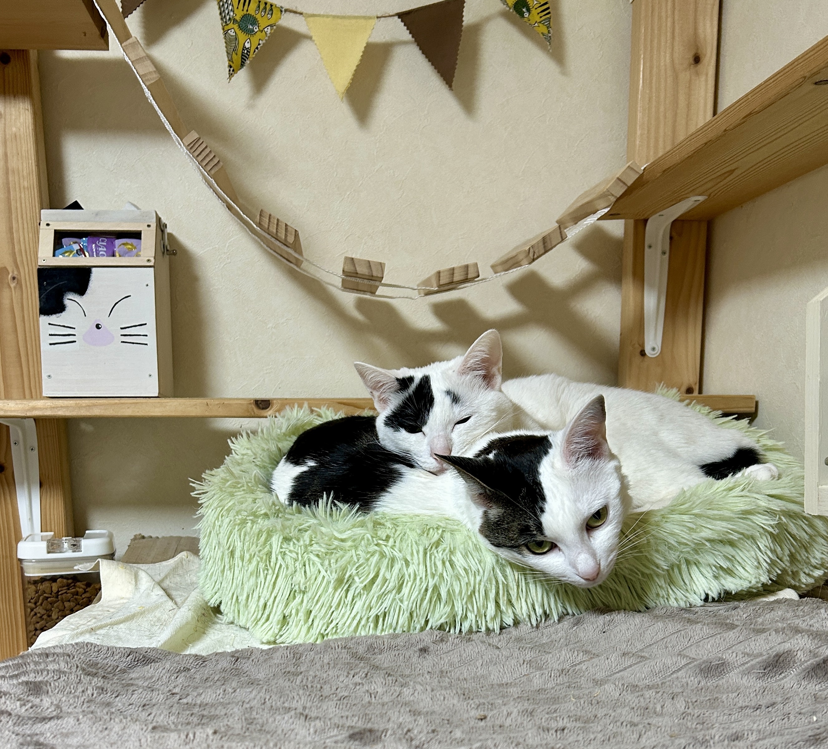 今朝は寒いので…