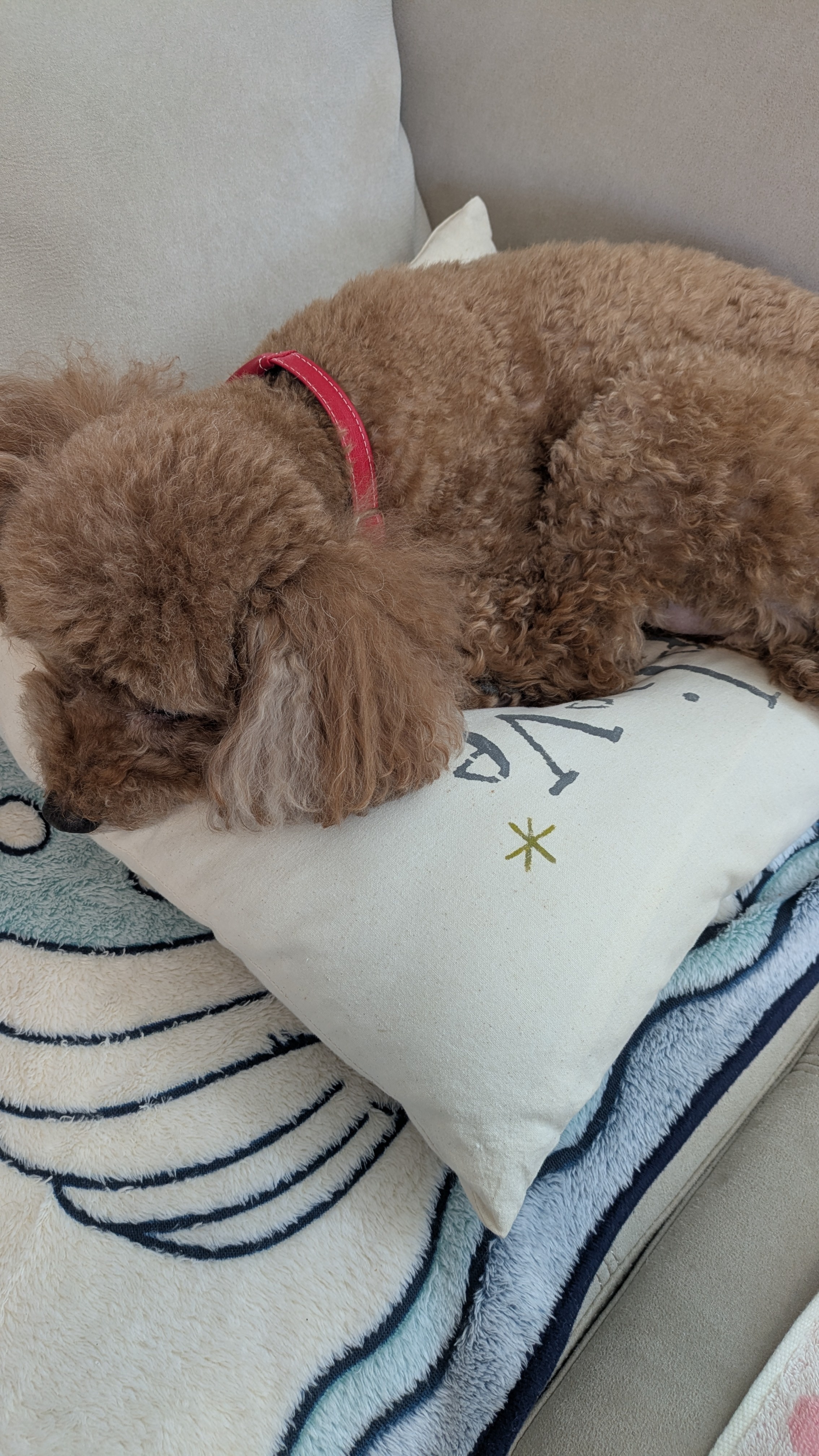 お気に入りです💕