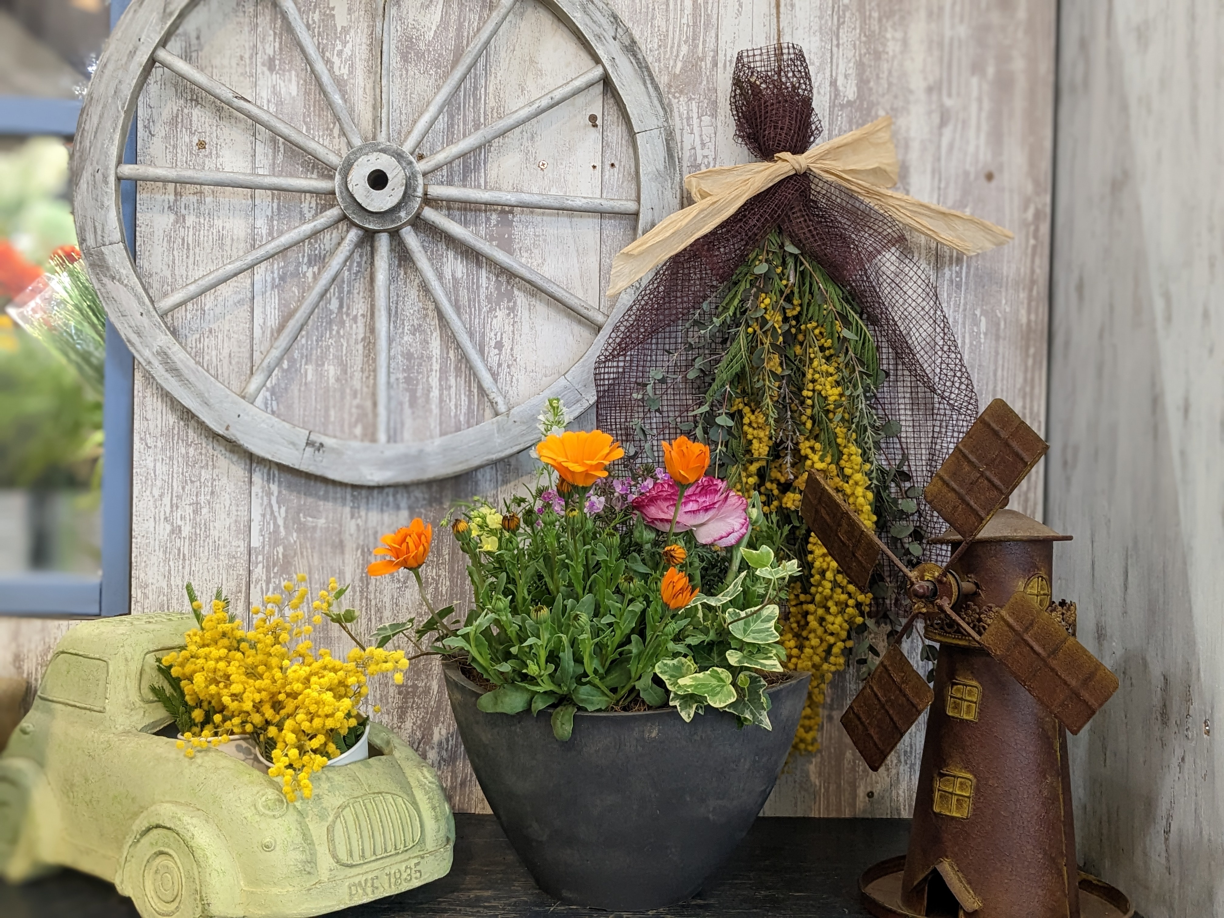 初心者向け「寄植え講座」 | CAINZ DIY Square