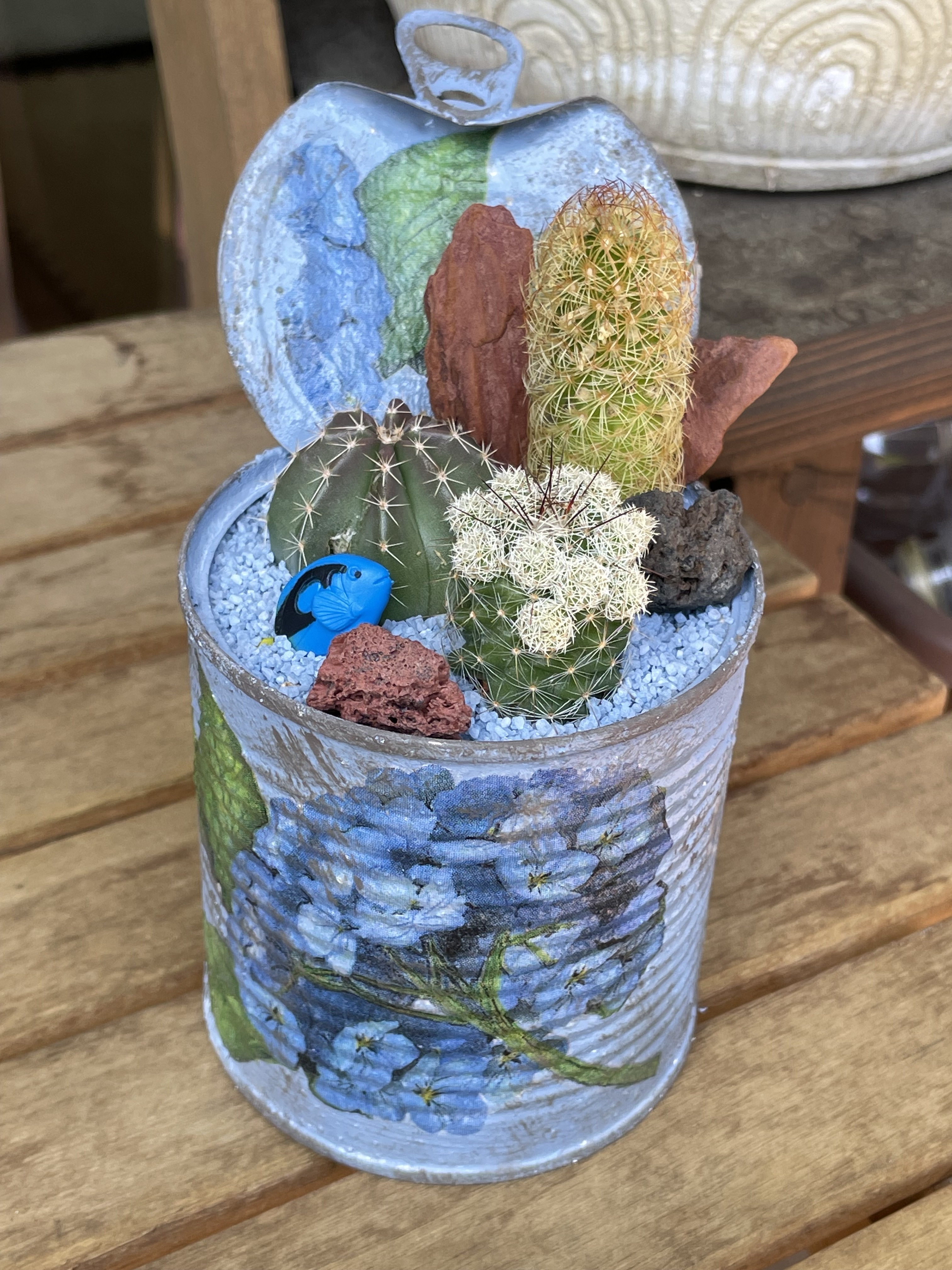リメ缶にサボテンを寄せ植え！ | CAINZ DIY Square